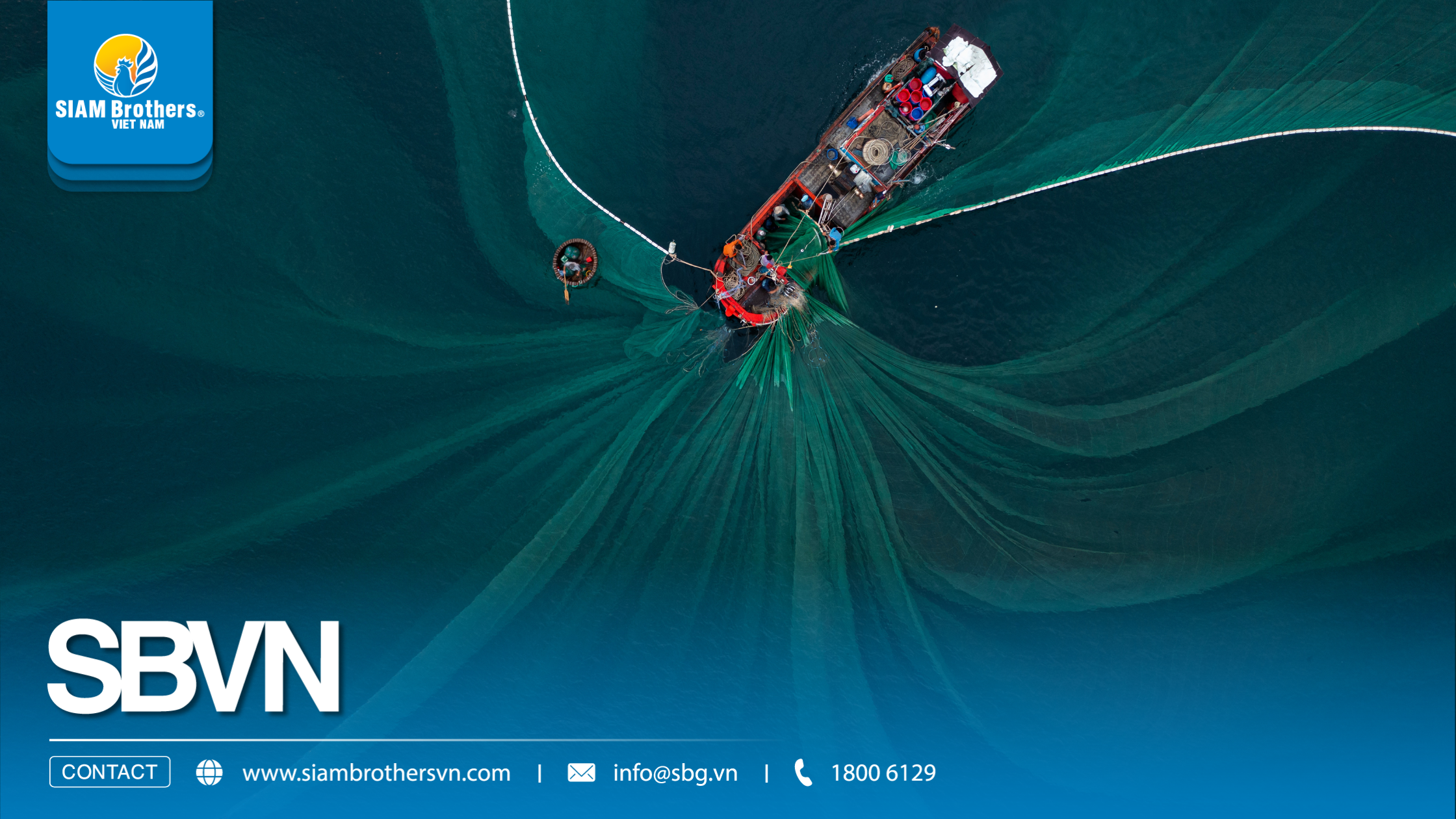 Lưới nhựa siêu bền có thực sự tốt hơn lưới thường? So sánh chi phí 3 năm sử dụng