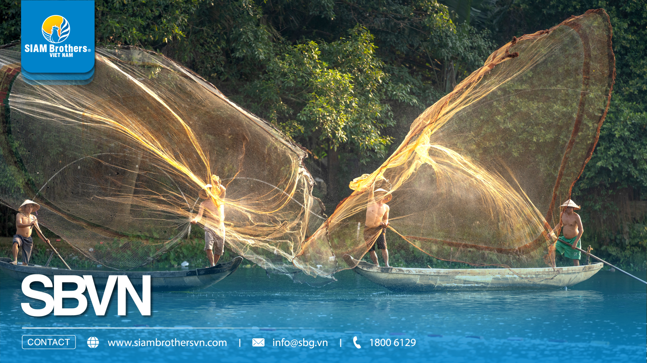 Lưới nhựa siêu bền có thực sự tốt hơn lưới thường? So sánh chi phí 3 năm sử dụng