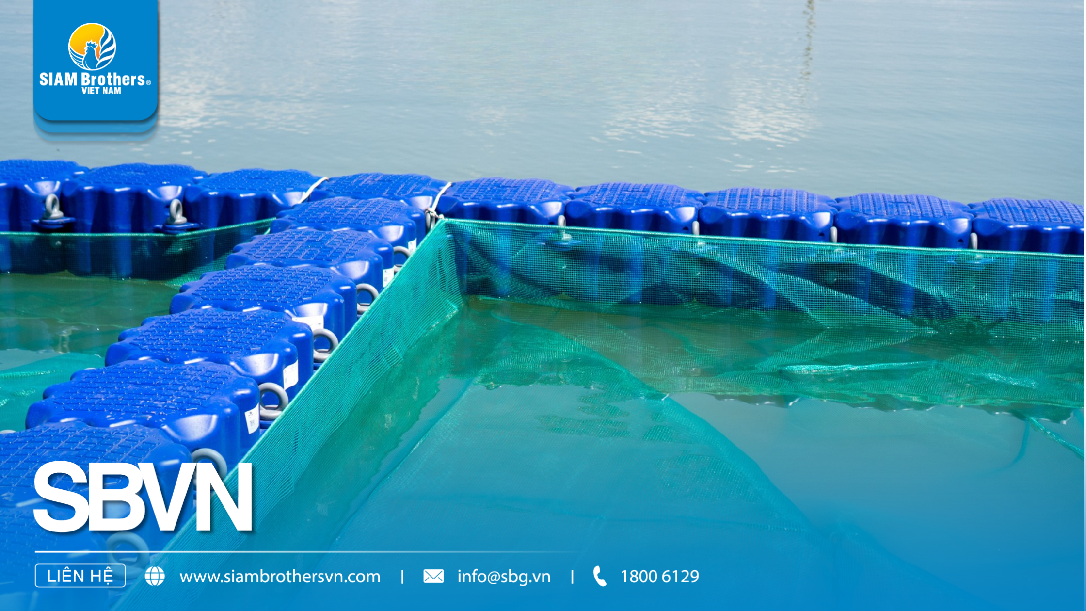 Mô hình nuôi cá nước ngọt cho năng suất cao, chi phí thấp cho nông hộ