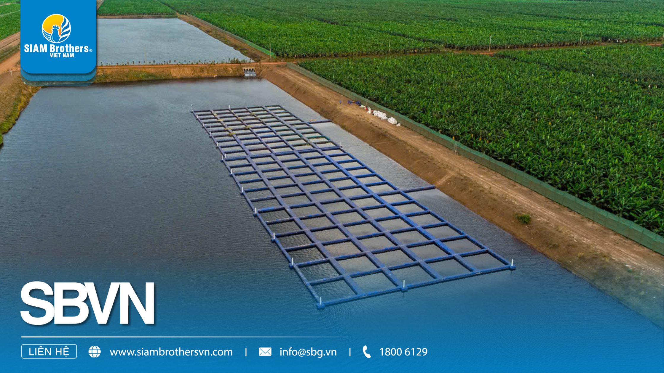 Mô hình nuôi cá nước ngọt cho năng suất cao, chi phí thấp cho nông hộ