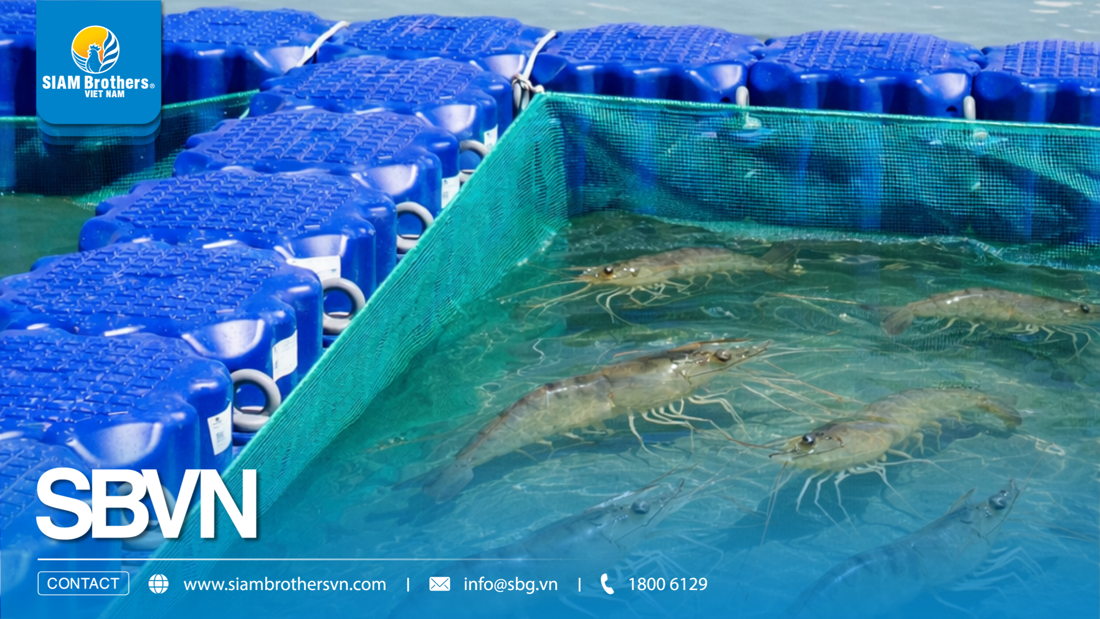 Mô hình nuôi tôm công nghệ cao sử dụng phao HDPE có ưu điểm gì?
