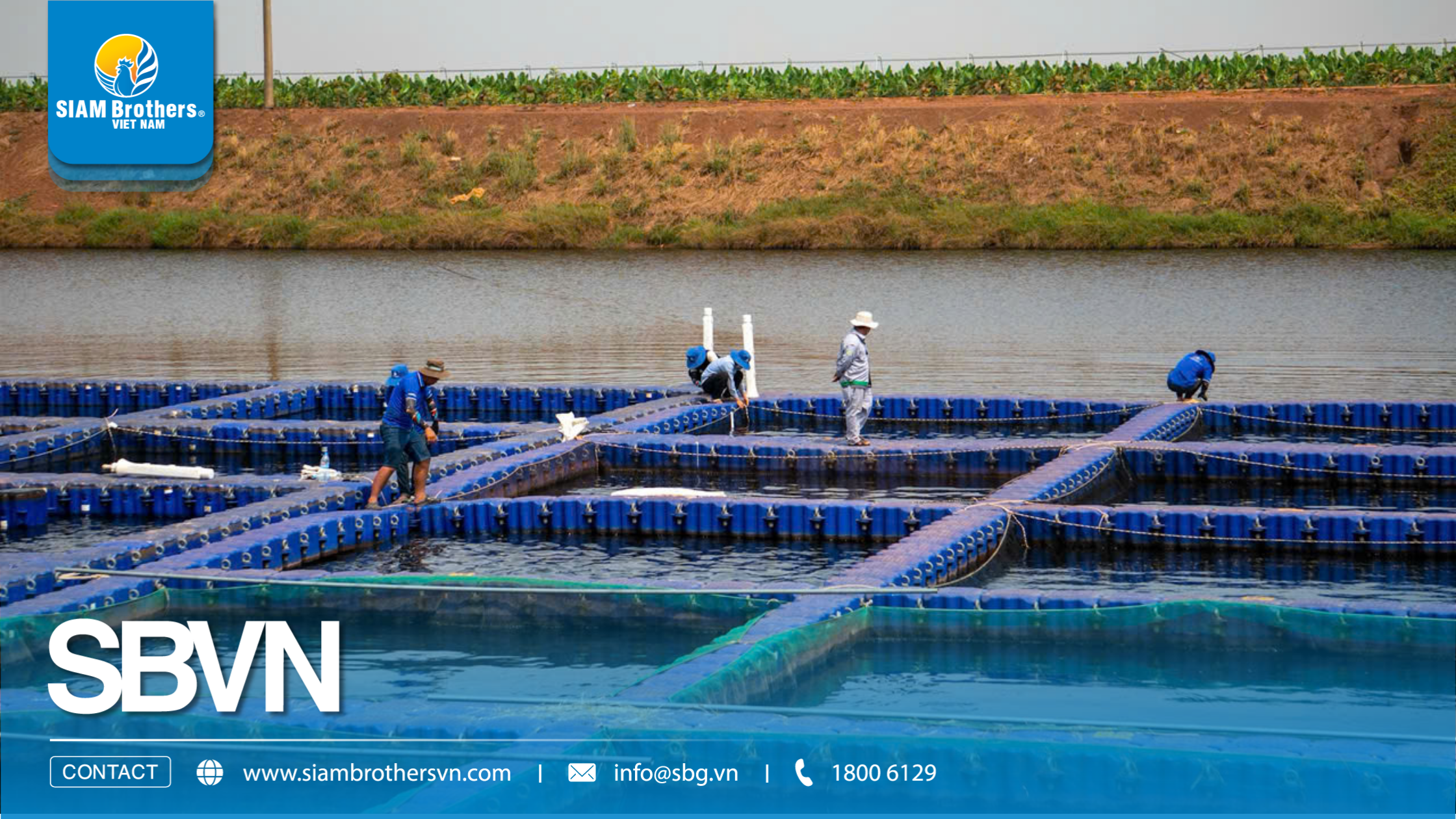 Mô hình nuôi tôm công nghệ cao sử dụng phao HDPE có ưu điểm gì?