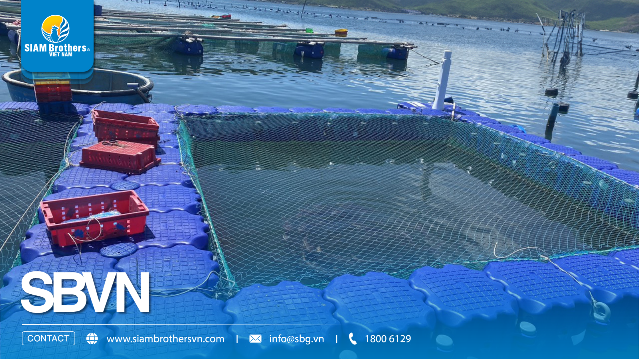 Mô hình nuôi tôm công nghệ cao sử dụng phao HDPE có ưu điểm gì?