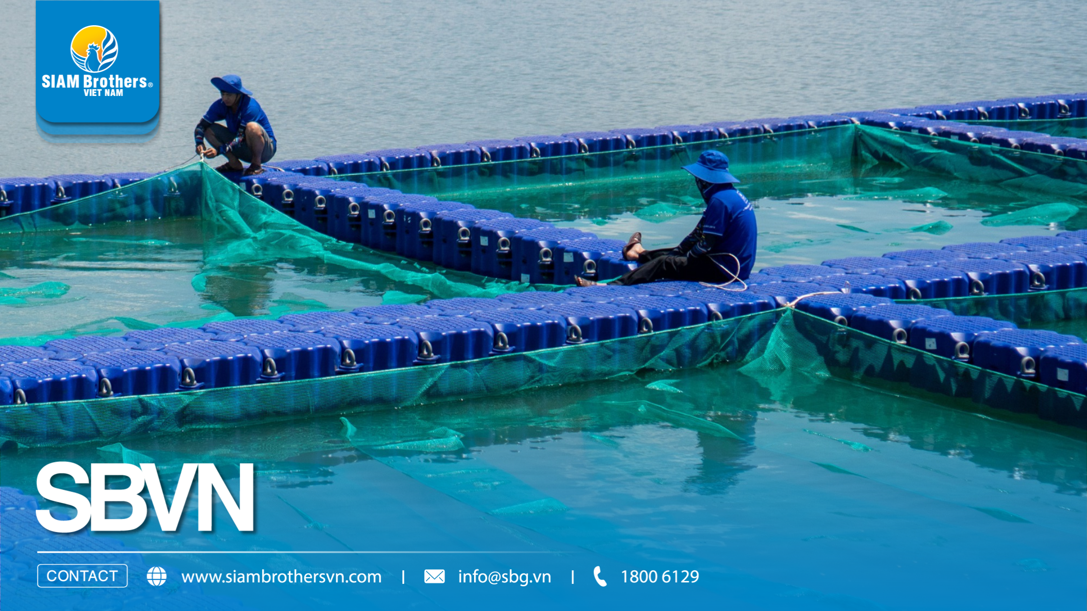 Mô hình nuôi tôm công nghệ cao sử dụng phao HDPE có ưu điểm gì?
