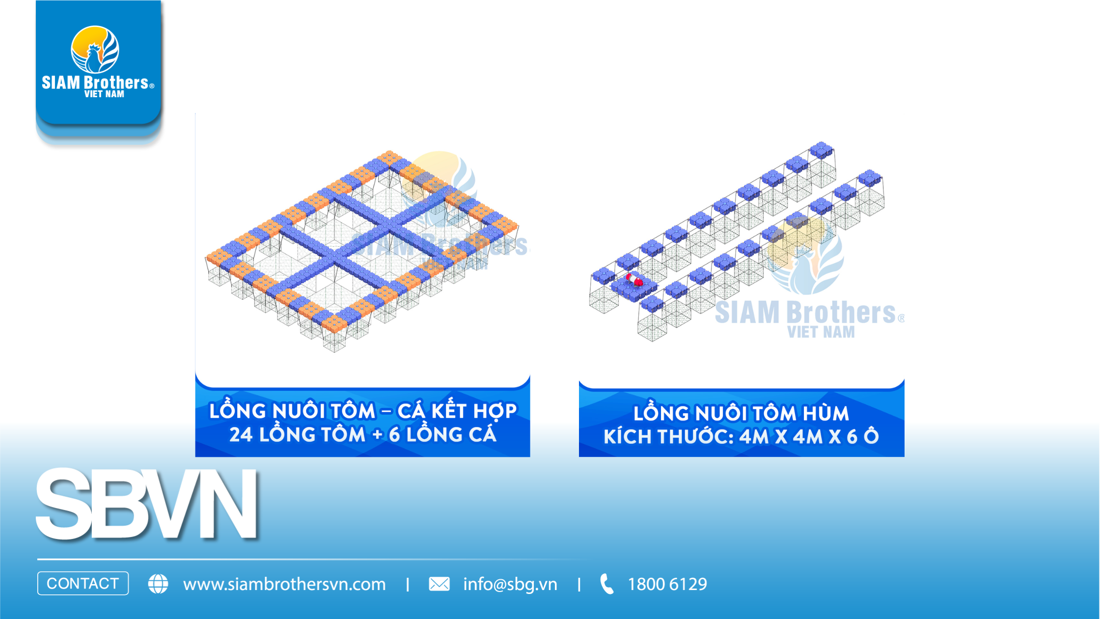 Mô hình nuôi tôm siêu thâm canh là gì? Có thực sự lợi nhuận cao như quảng cáo?