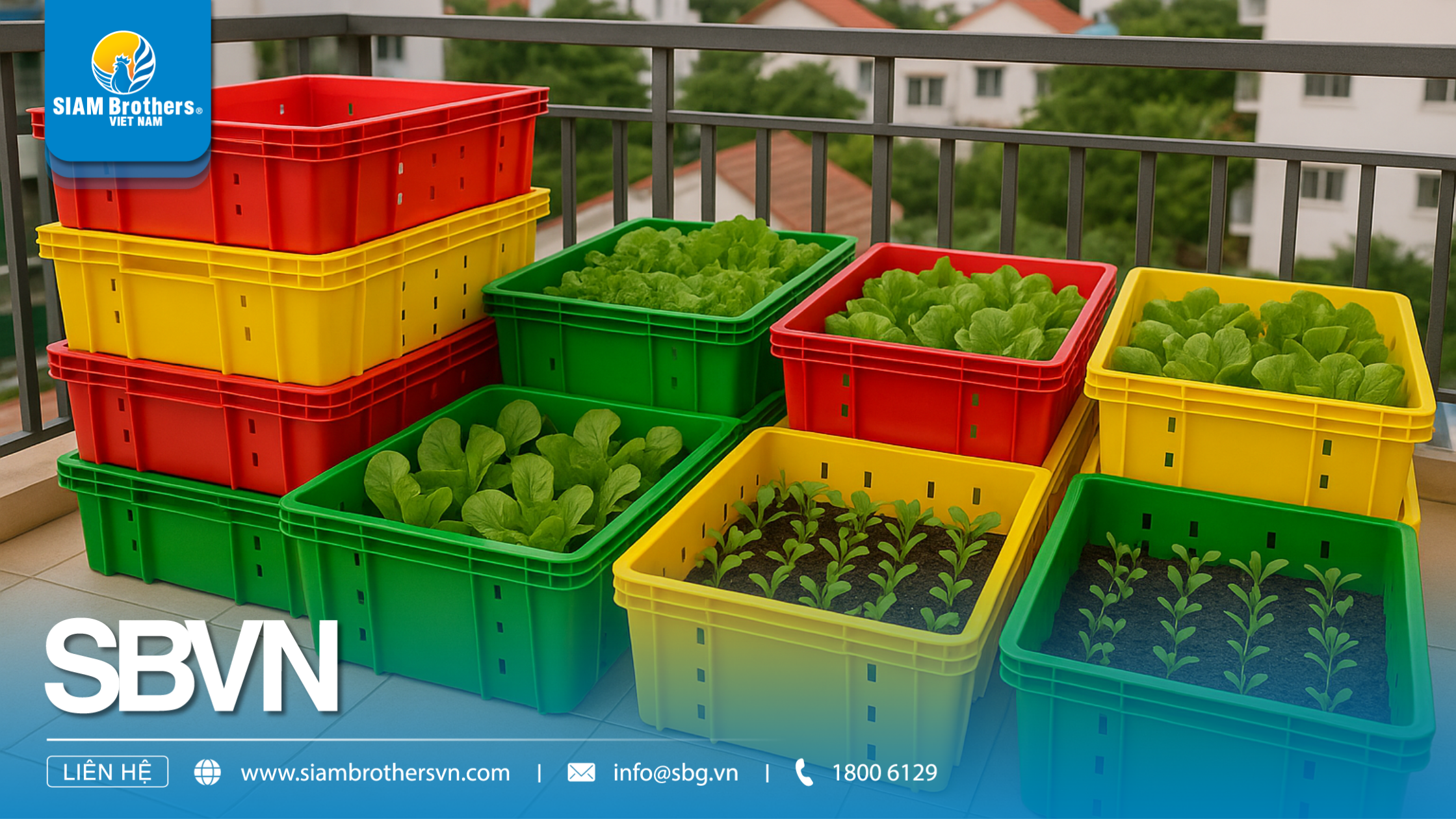 Mua khay nhựa trồng rau có chân thoát nước – Giải pháp chống úng cực hiệu quả