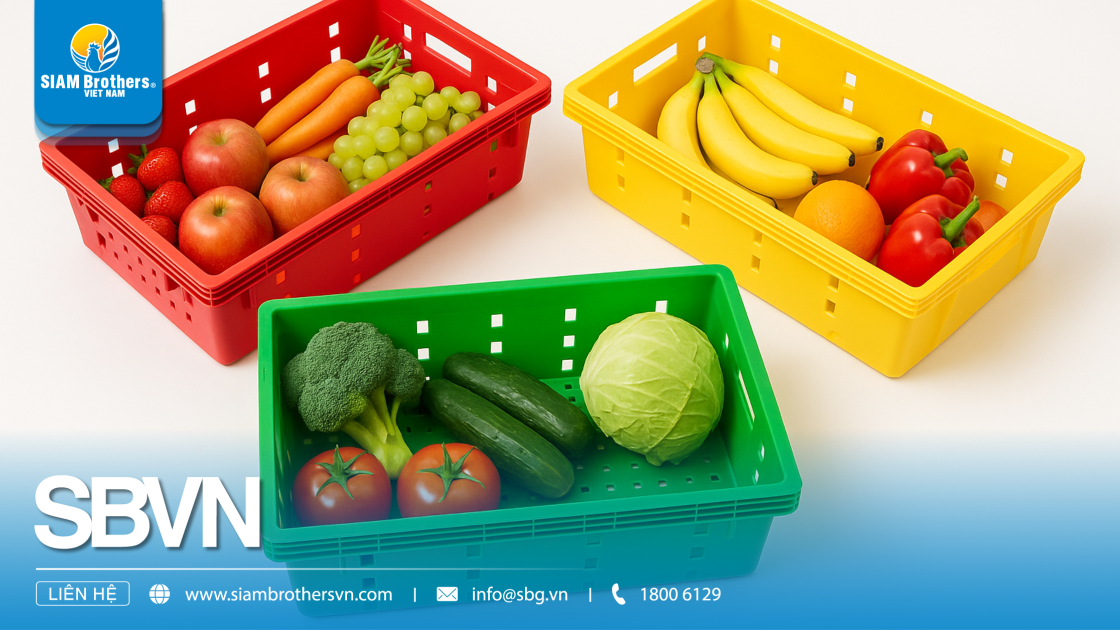 Mua khay nhựa trồng rau có chân thoát nước – Giải pháp chống úng cực hiệu quả