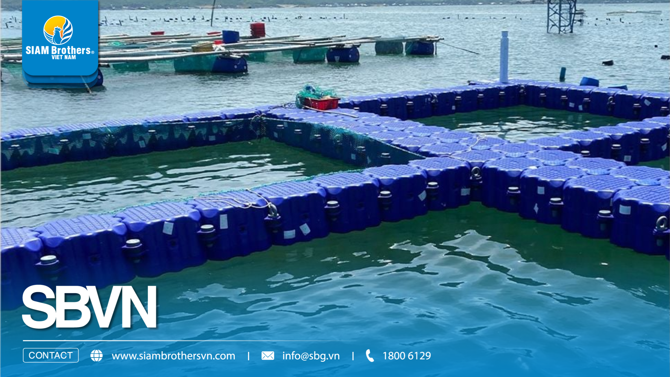 Mua phao nổi ở đâu uy tín? Báo giá mới nhất theo từng loại