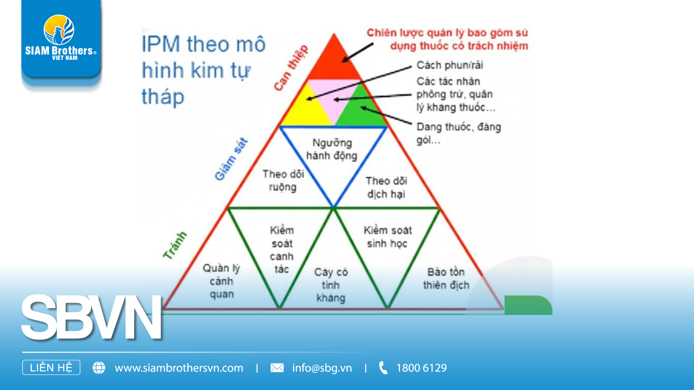 Nguyên tắc phòng trừ sâu bệnh trong nông nghiệp hiện đại: Áp dụng đúng để giảm 30-50% thiệt hại mùa vụ