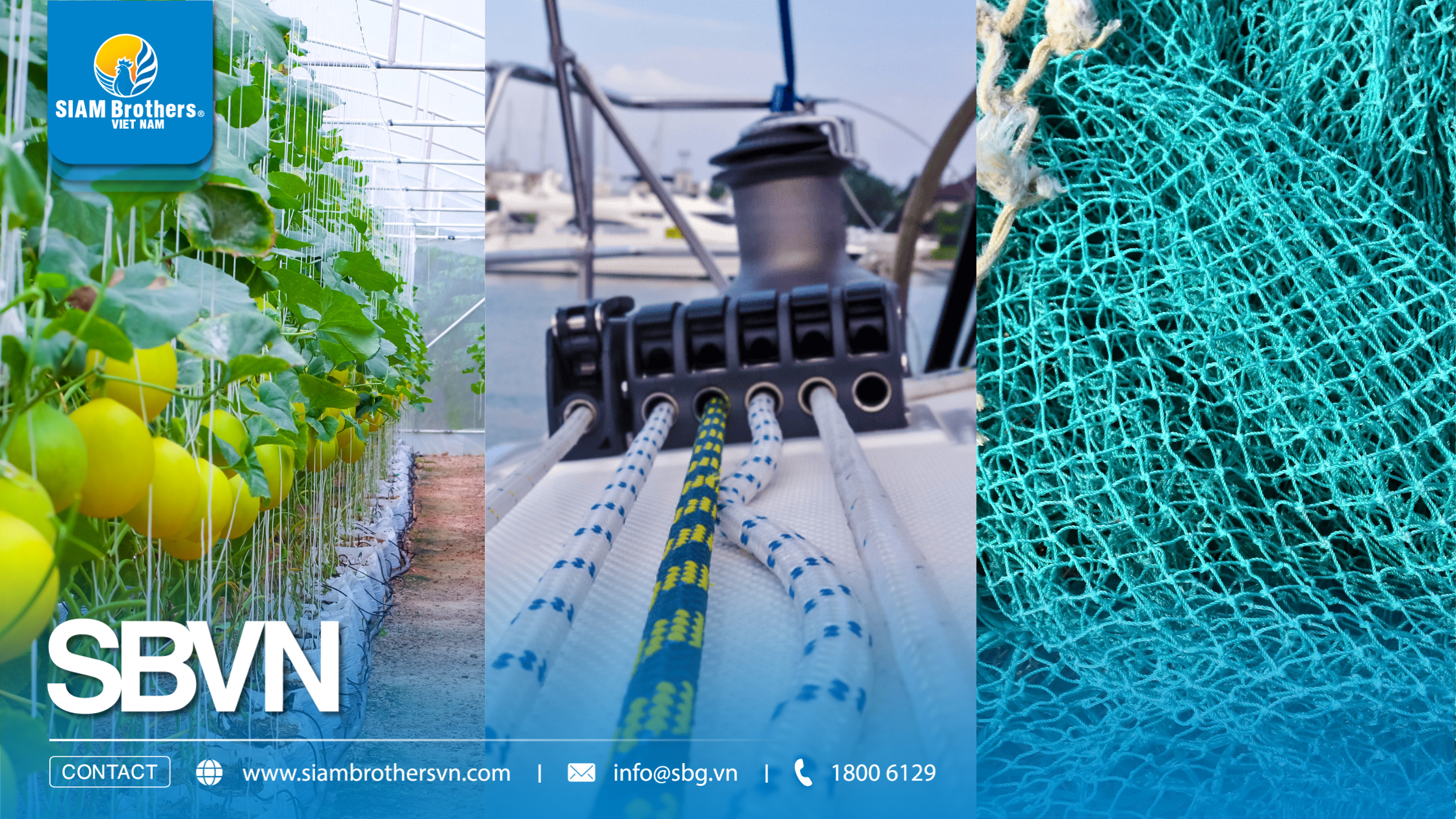 Nhựa PE dùng trong dây thừng có tốt không? So sánh với PP, Nylon chi tiết từ A-Z