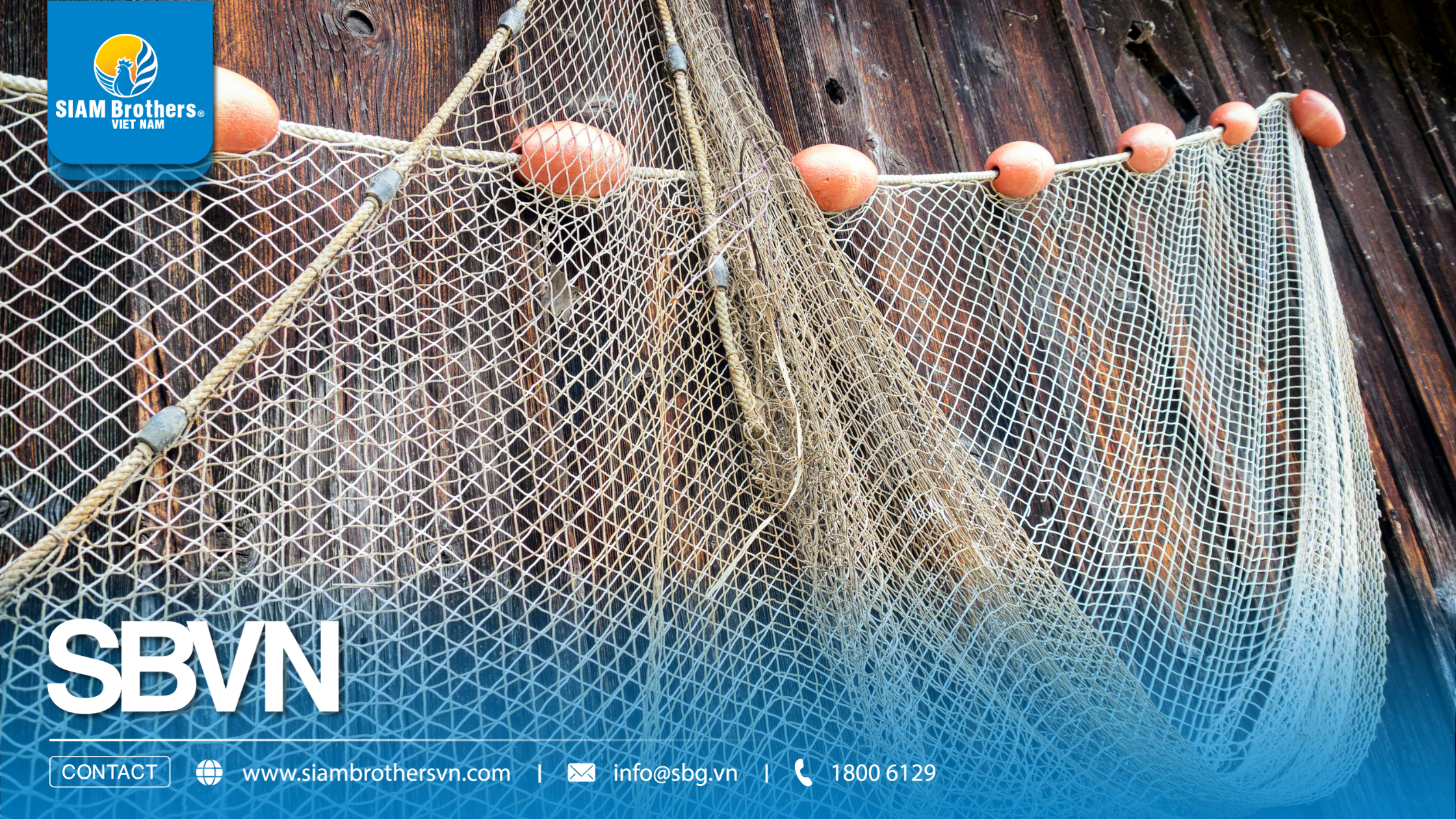 Vì sao nhựa PP được dùng nhiều trong dây thừng ngư nghiệp? 5 lý do người trong nghề lựa chọn