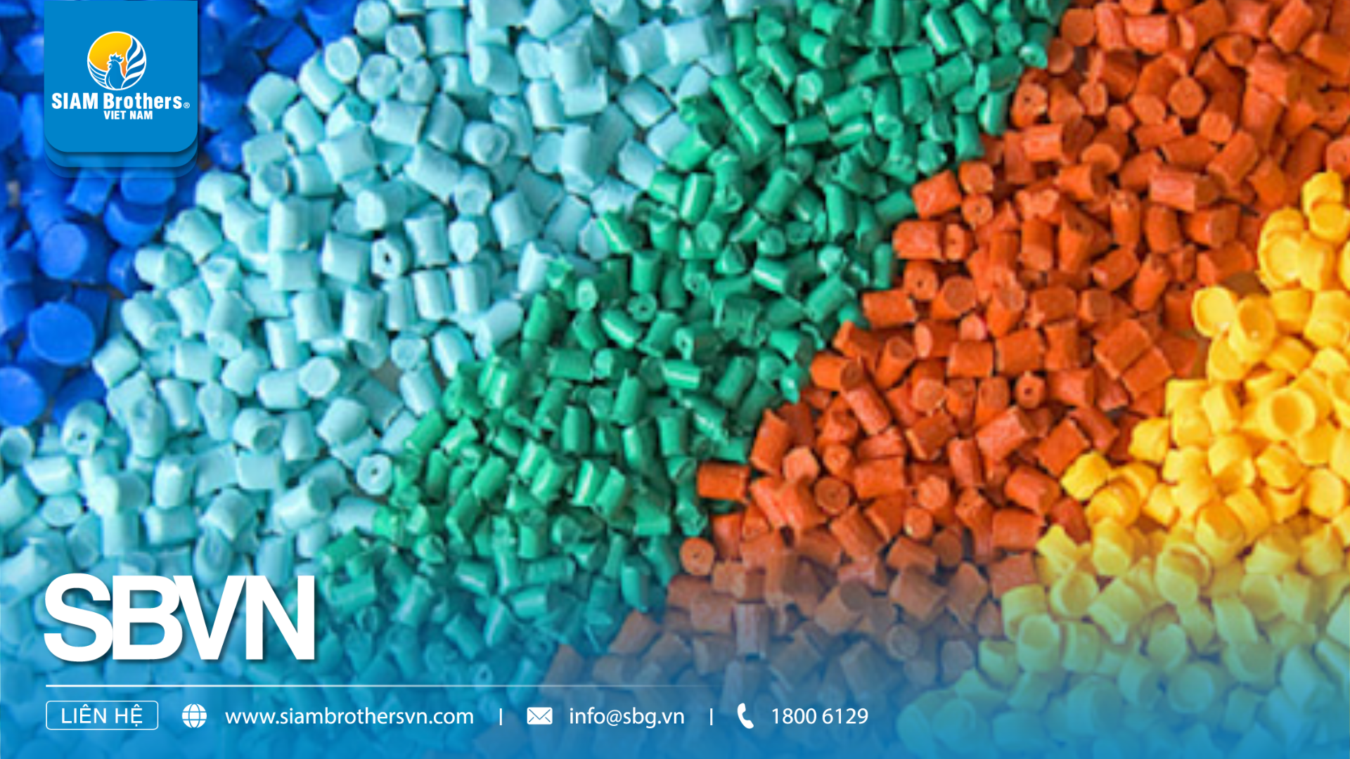 Nhựa nguyên sinh vs nhựa tái chế — Nên dùng loại nào cho phao lồng bè & dây thừng?