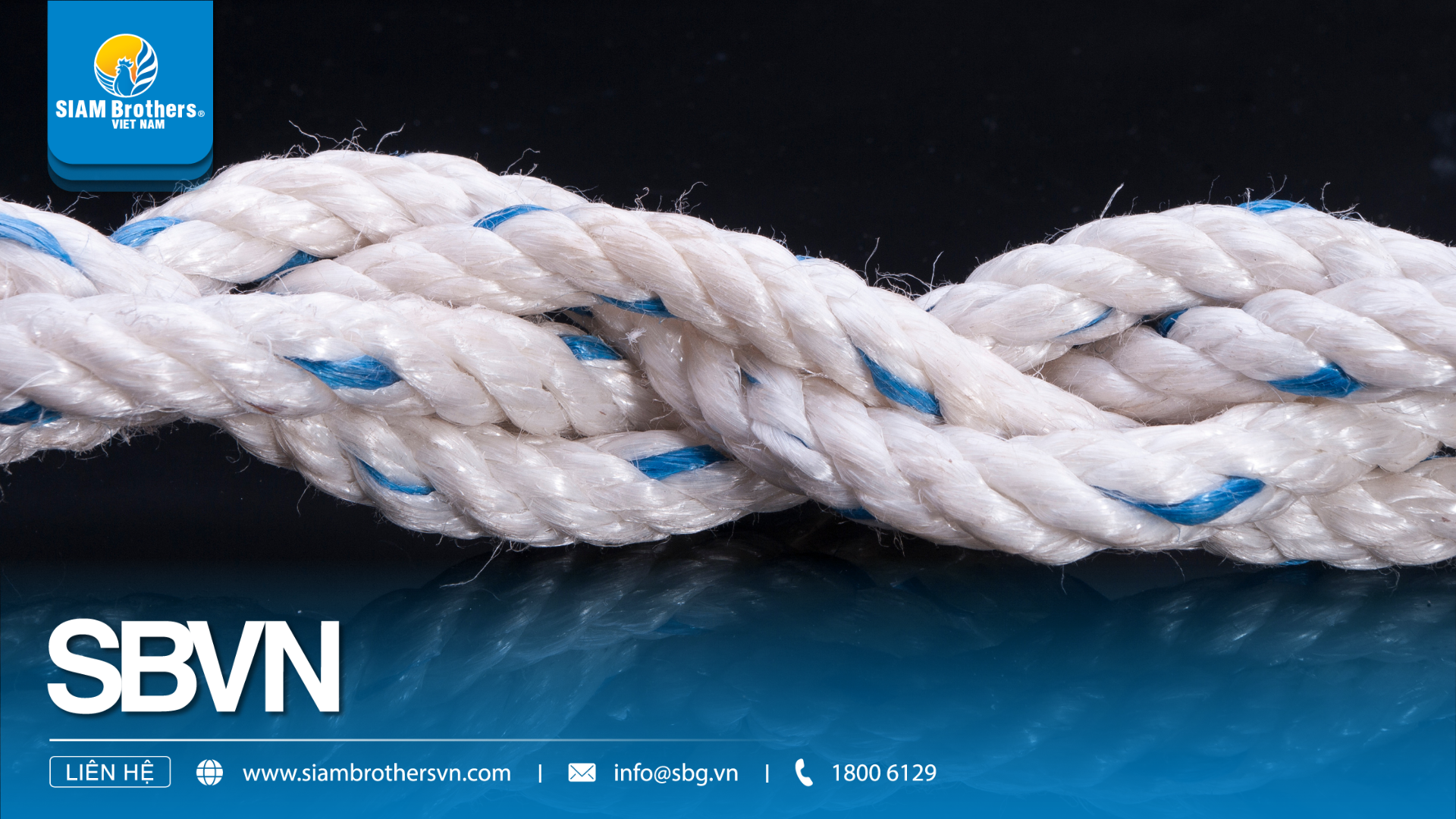 Nhựa nguyên sinh vs nhựa tái chế — Nên dùng loại nào cho phao lồng bè & dây thừng?