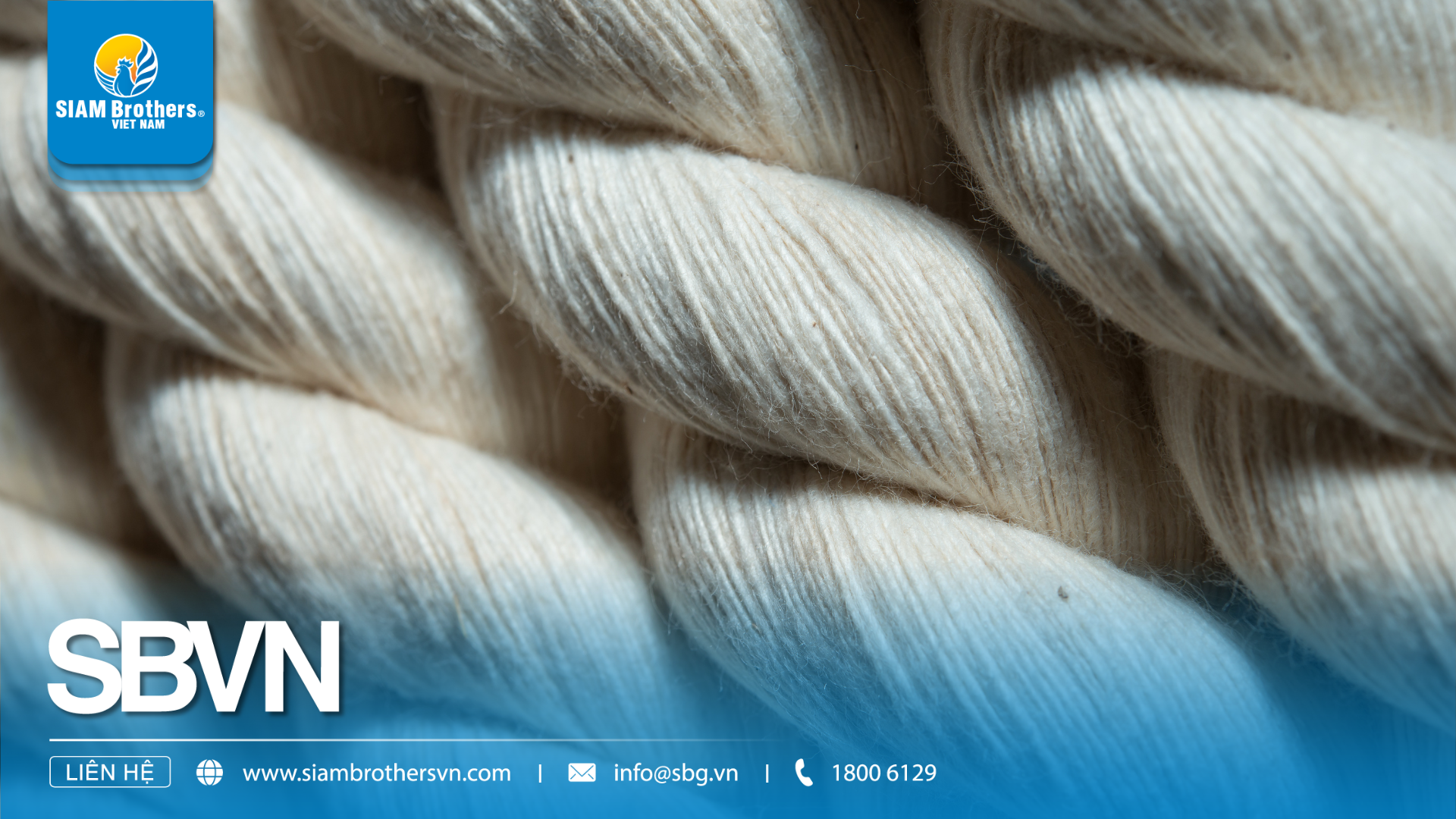 Nhựa nguyên sinh vs nhựa tái chế — Nên dùng loại nào cho phao lồng bè & dây thừng?