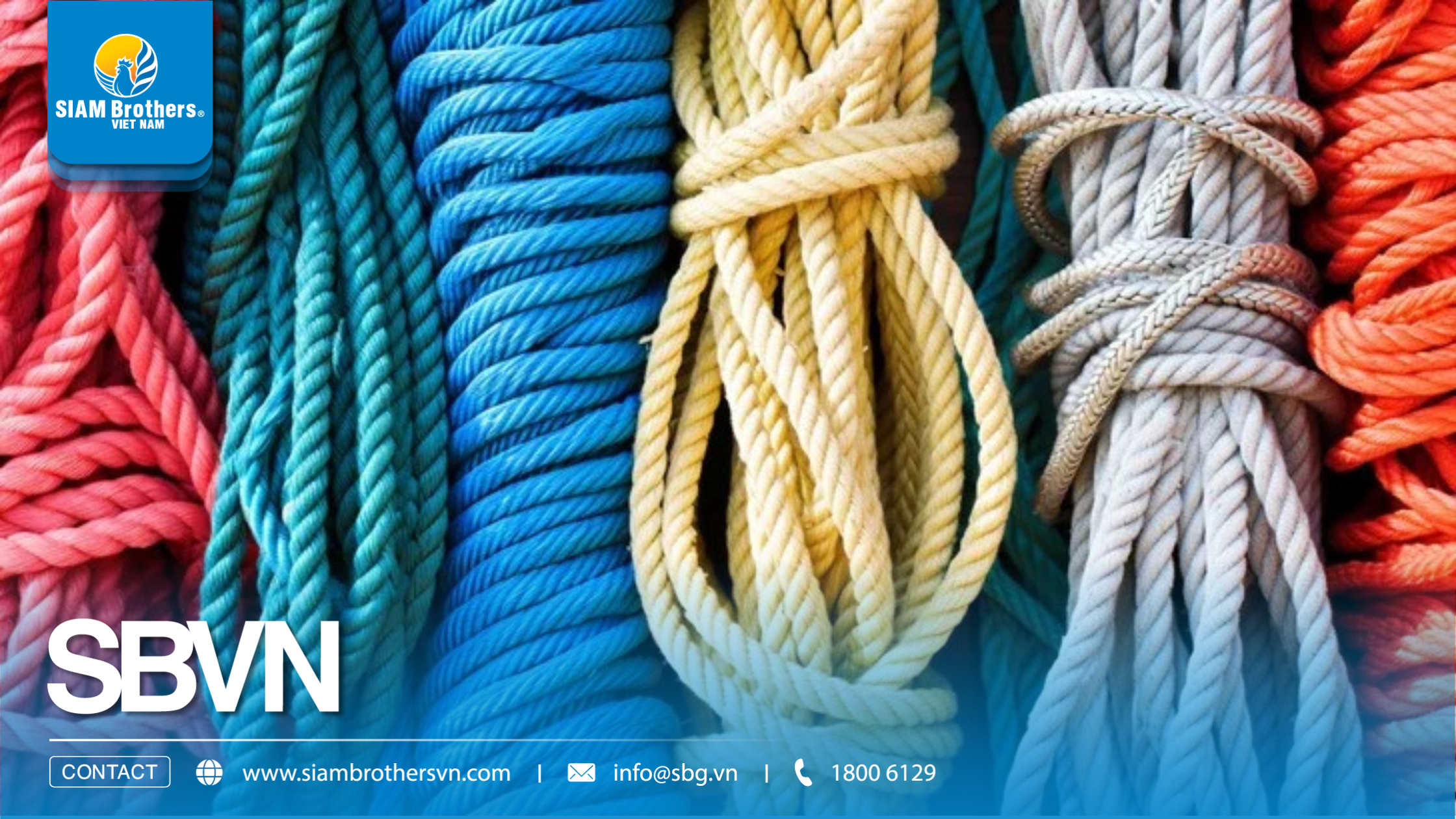 Nhựa tái sinh và nhựa nguyên sinh: Khác nhau thế nào? Nên chọn loại nào cho từng ngành?