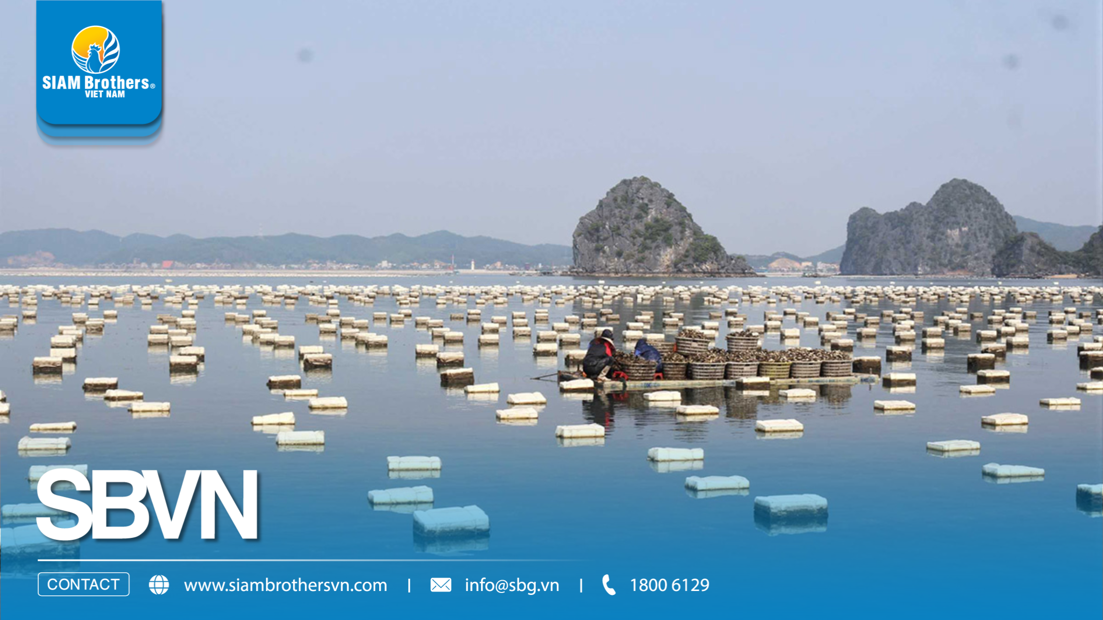 So sánh phao nhựa HDPE nuôi hàu và phao xốp: Loại nào bền hơn?