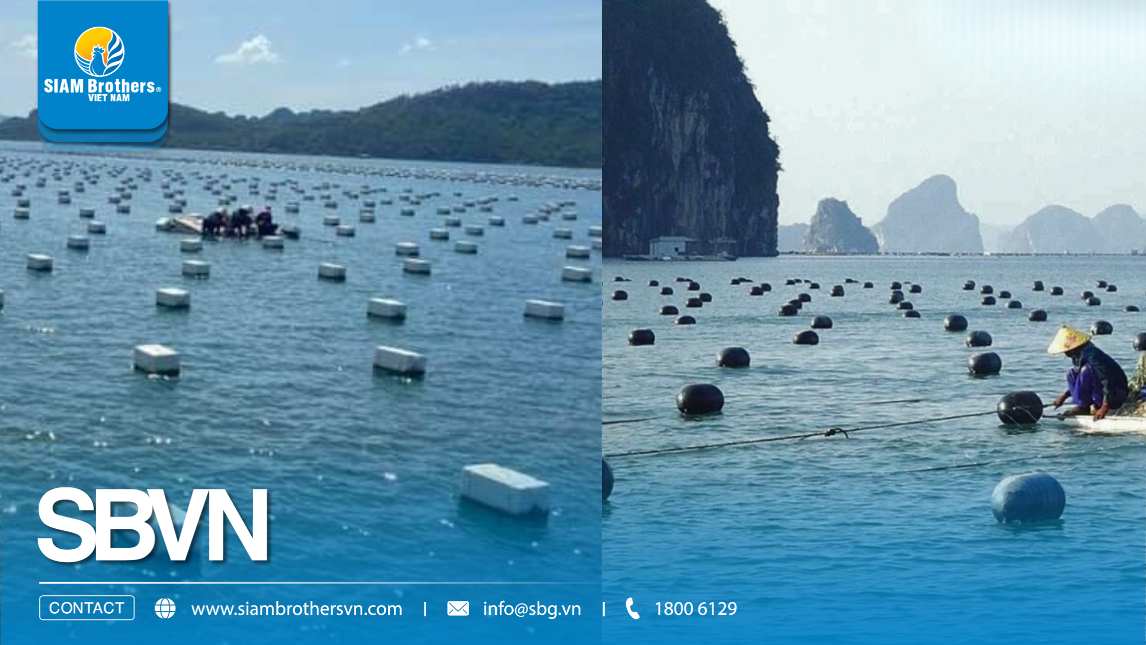 So sánh phao nhựa HDPE nuôi hàu và phao xốp: Loại nào bền hơn?