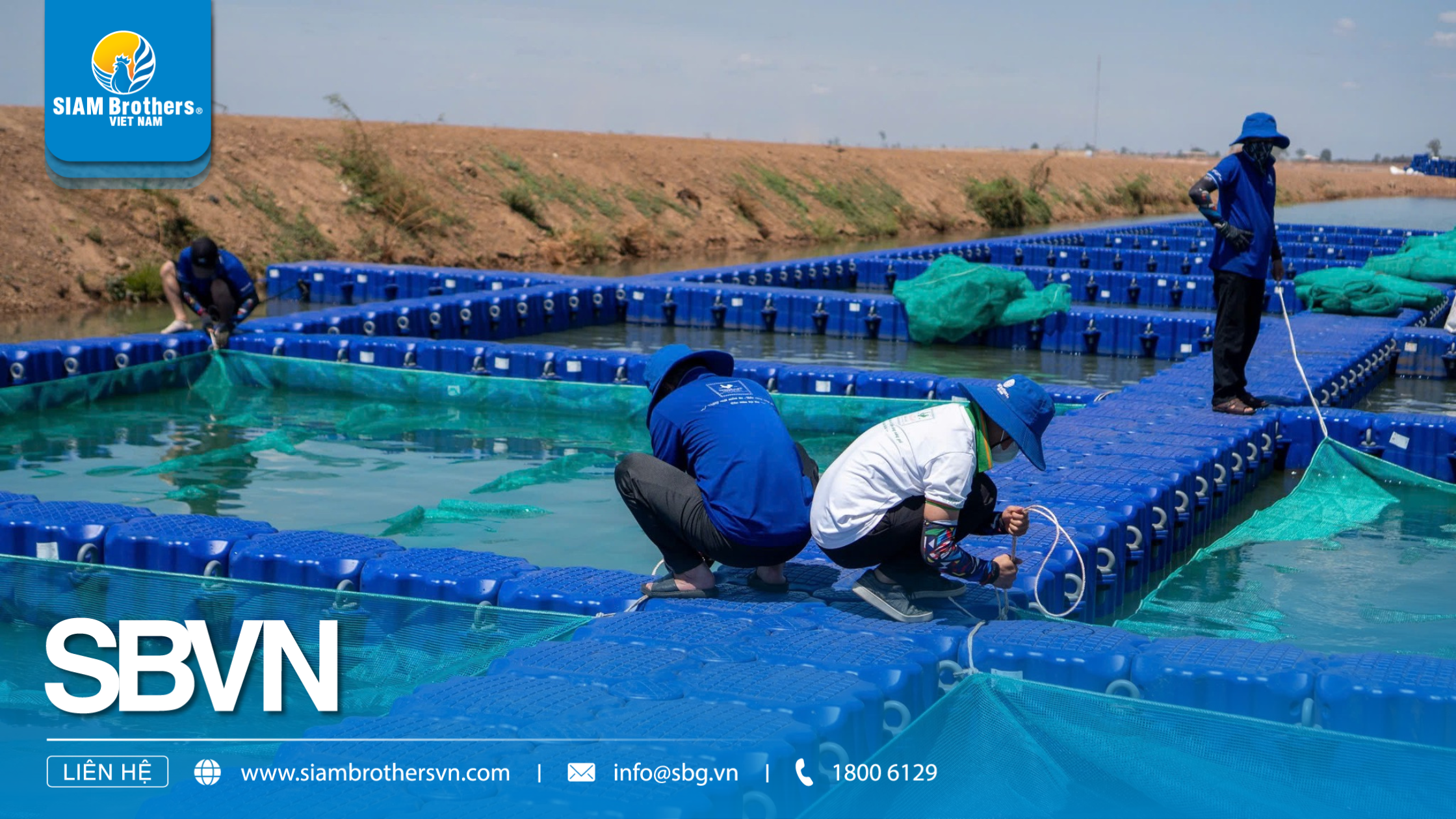 5 Lý do phao nhựa nổi HDPE là giải pháp tối ưu cho mô hình nuôi cá hiện đại