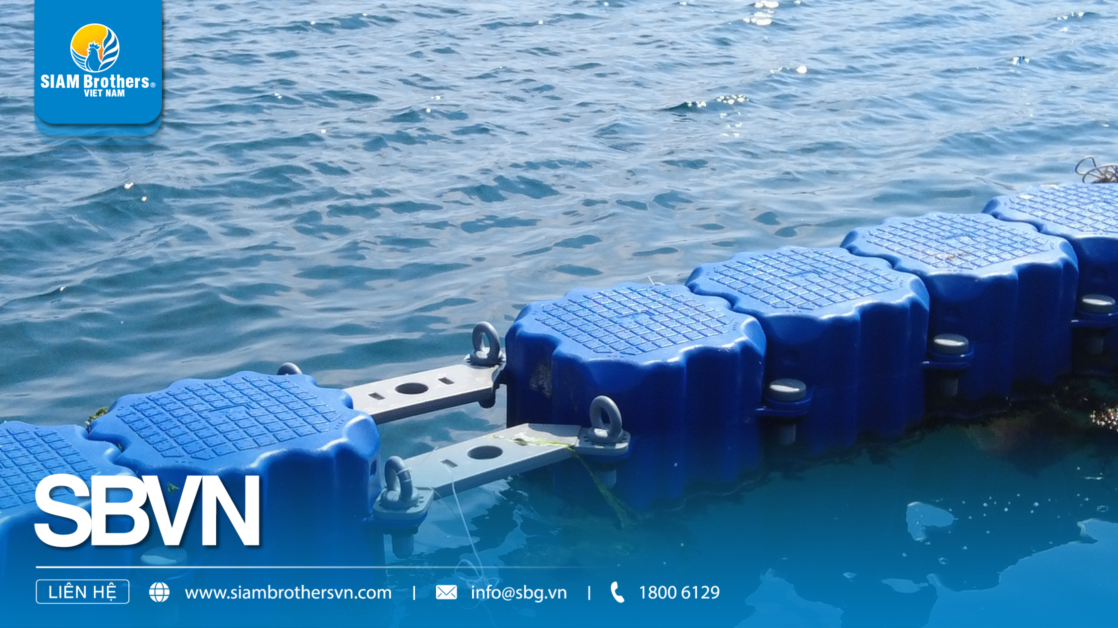 5 Lý do phao nhựa nổi HDPE là giải pháp tối ưu cho mô hình nuôi cá hiện đại