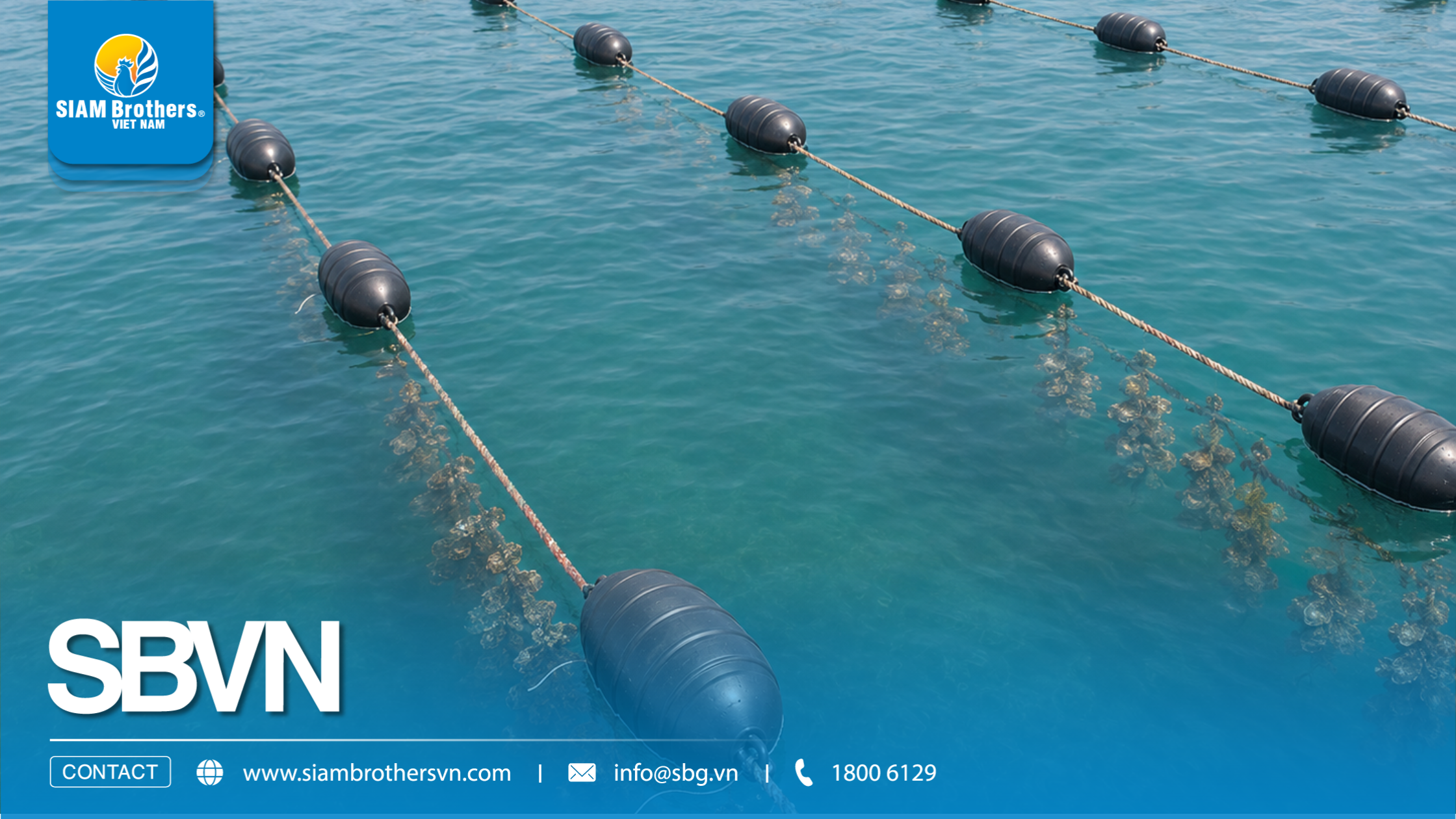 Giá phao nhựa nuôi hàu HDPE bao nhiêu? Cách tính chi phí cho từng quy mô bè