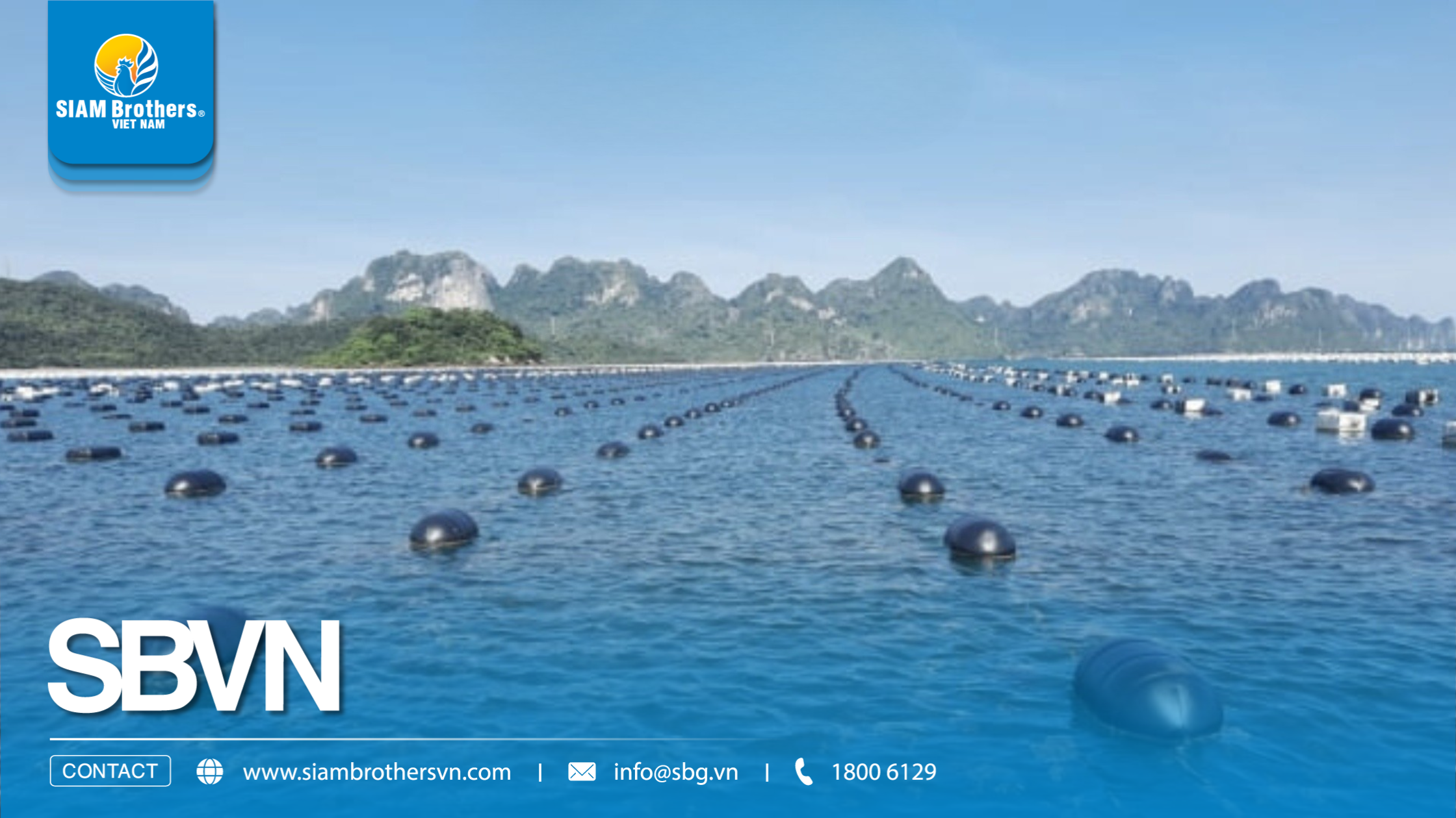 Giá phao nhựa nuôi hàu HDPE bao nhiêu? Cách tính chi phí cho từng quy mô bè