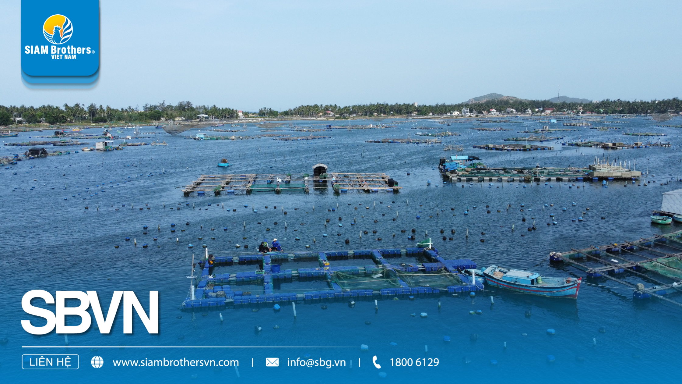 Hướng dẫn chọn phao nổi đa năng phù hợp cho ngành nuôi trồng thủy sản