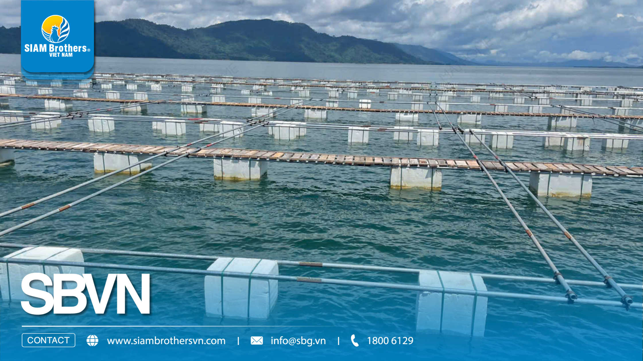 Phao nổi lắp ghép HDPE với phao xốp: Giải pháp nào tiết kiệm hơn sau 3 năm?