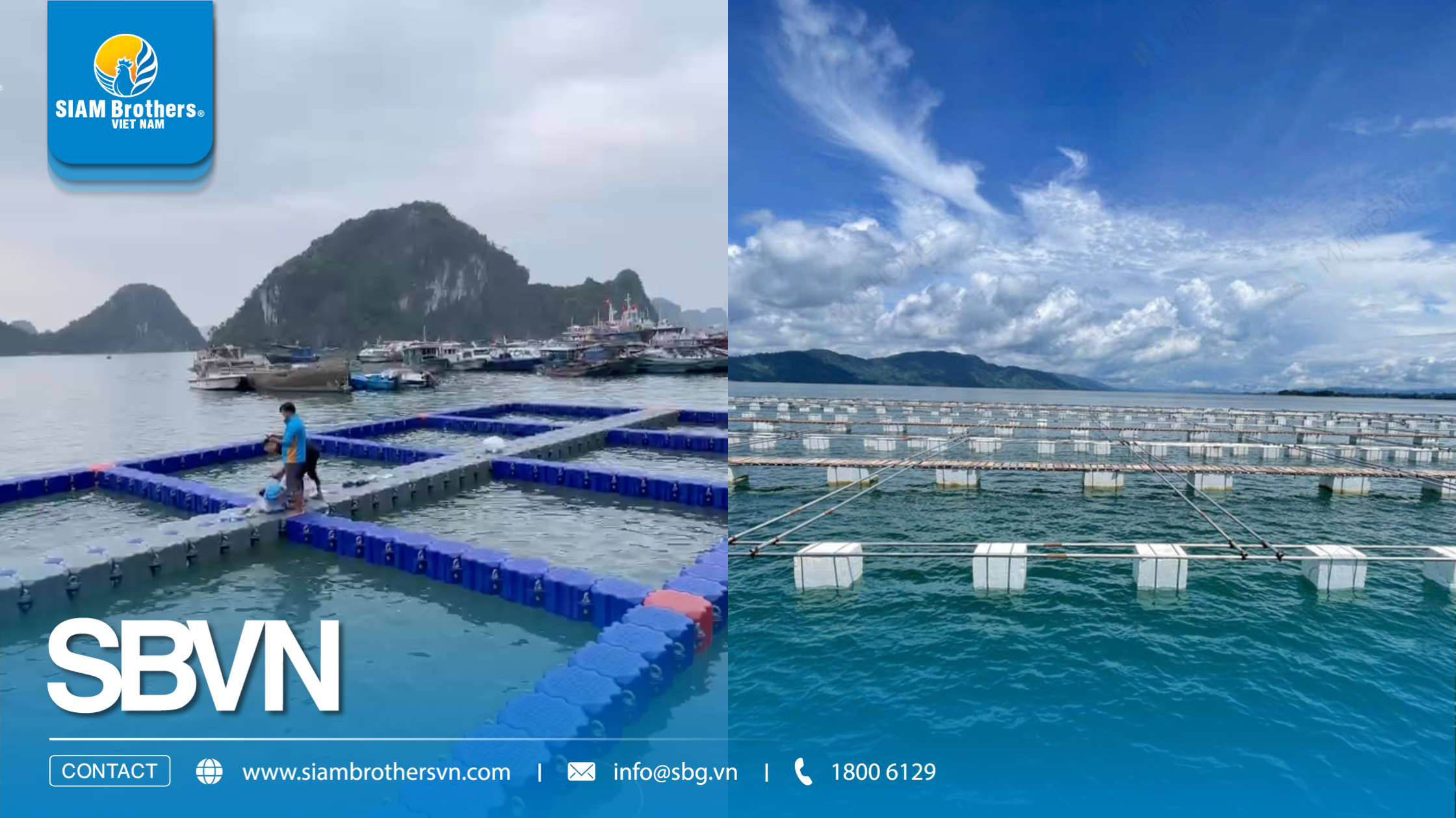 Phao nổi lắp ghép HDPE với phao xốp: Giải pháp nào tiết kiệm hơn sau 3 năm?