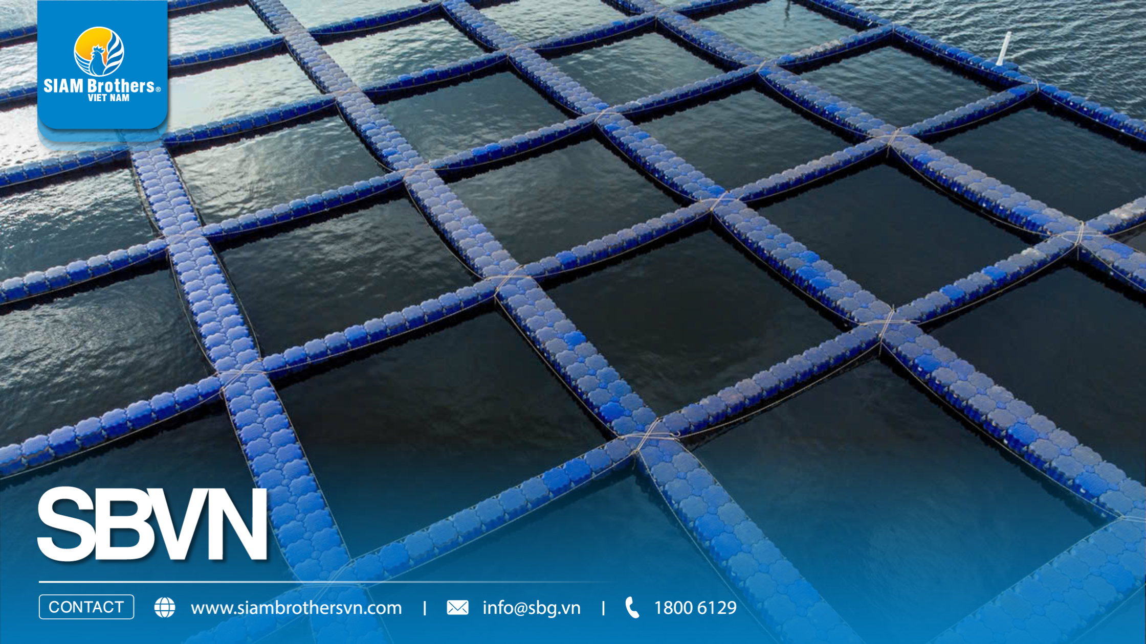 Phao nổi lắp ghép HDPE với phao xốp: Giải pháp nào tiết kiệm hơn sau 3 năm?