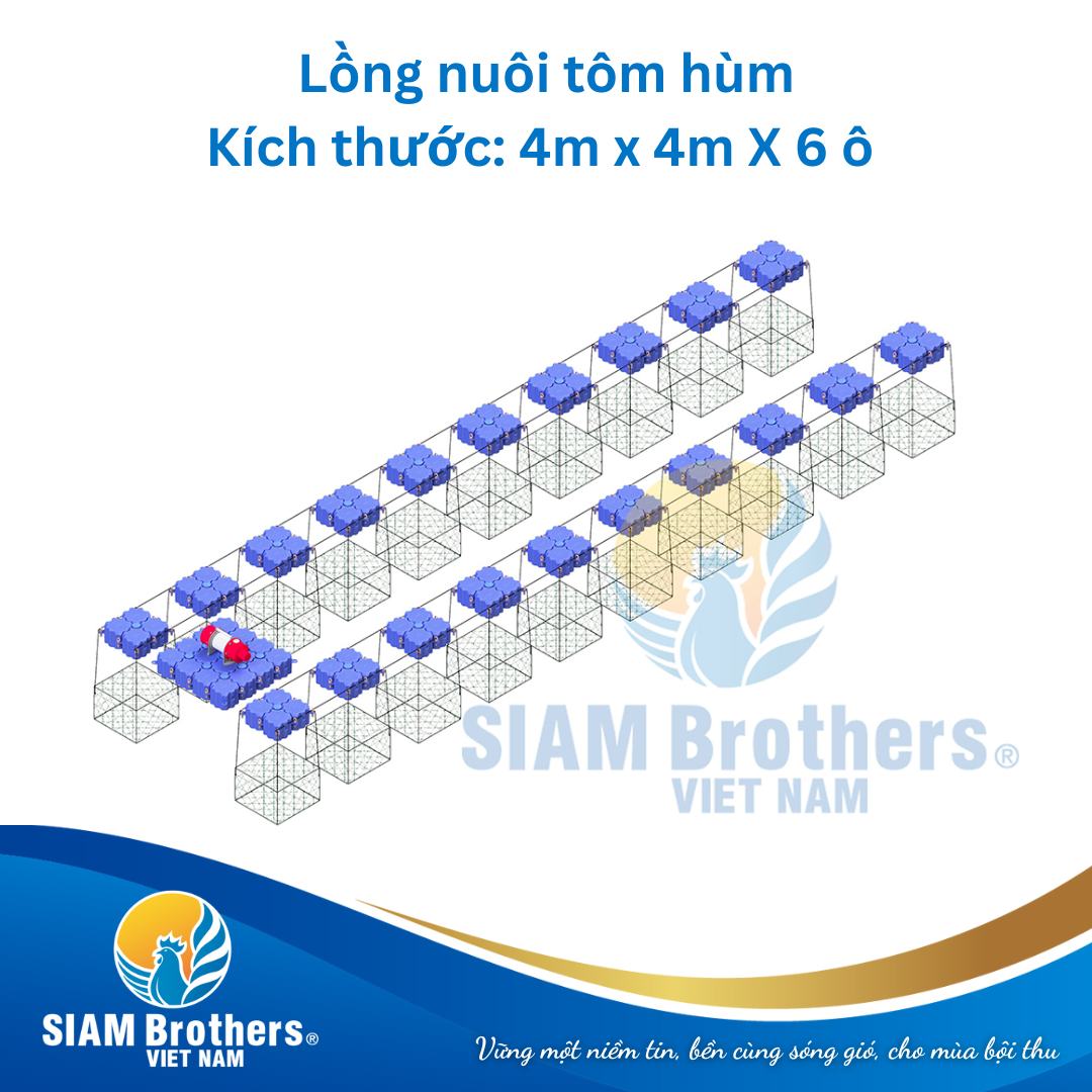 Phao nổi nuôi tôm HDPE có an toàn không? Phân tích vật liệu, độ bền và khả năng chịu môi trường nước mặn