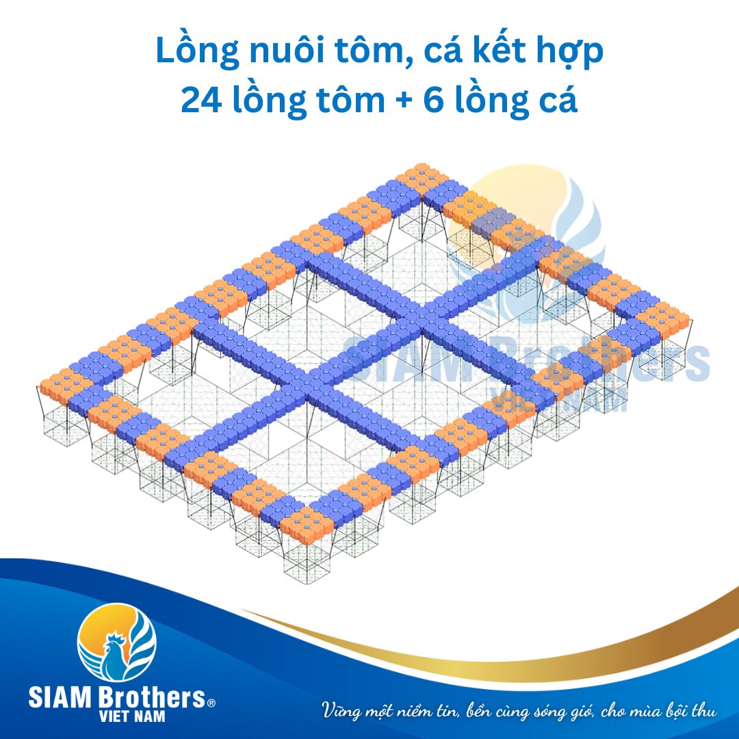 Phao nổi nuôi tôm HDPE có an toàn không? Phân tích vật liệu, độ bền và khả năng chịu môi trường nước mặn