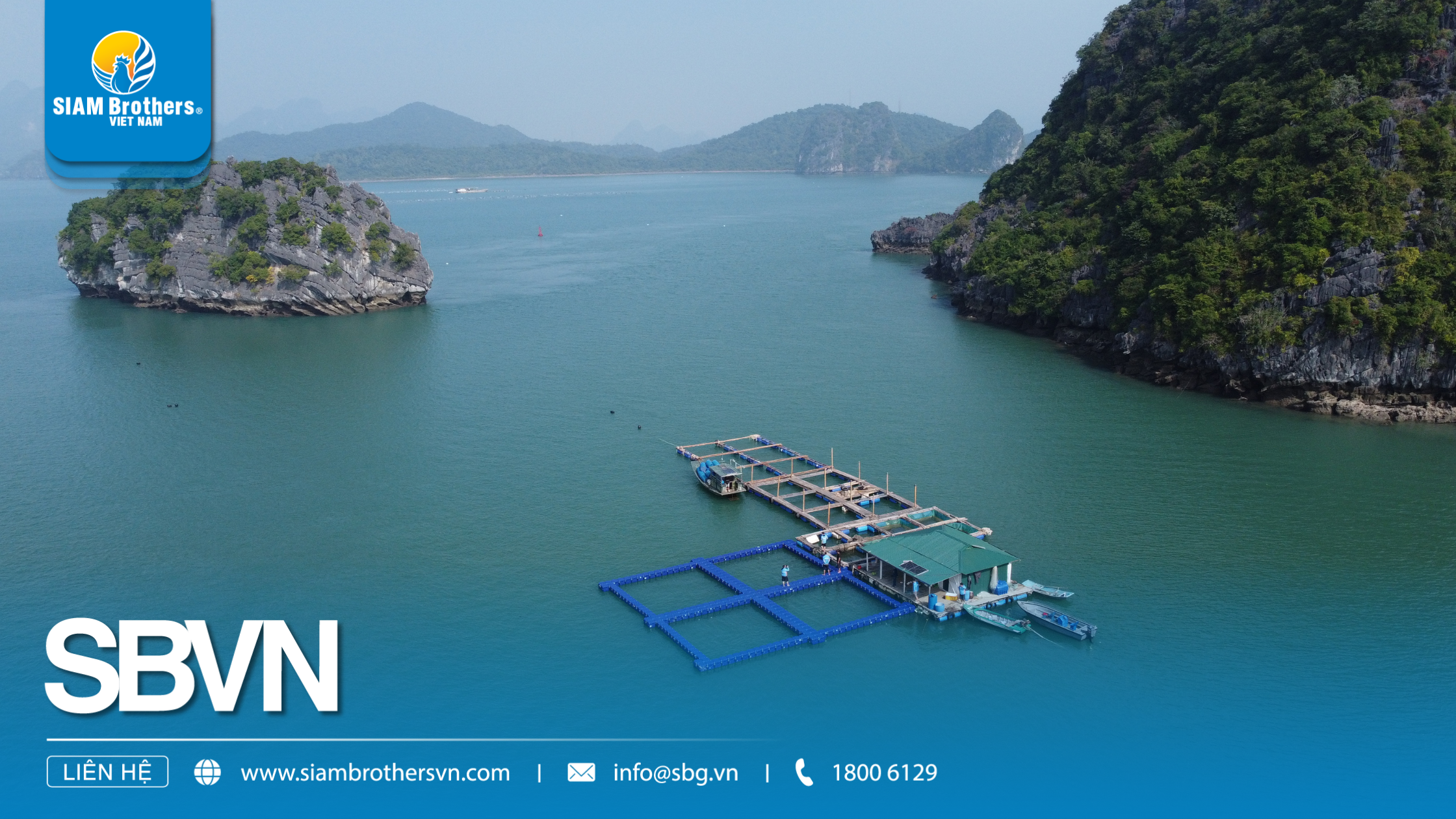 Phao nổi trên biển: Hướng dẫn chọn loại phù hợp cho tàu cá, lồng bè và neo