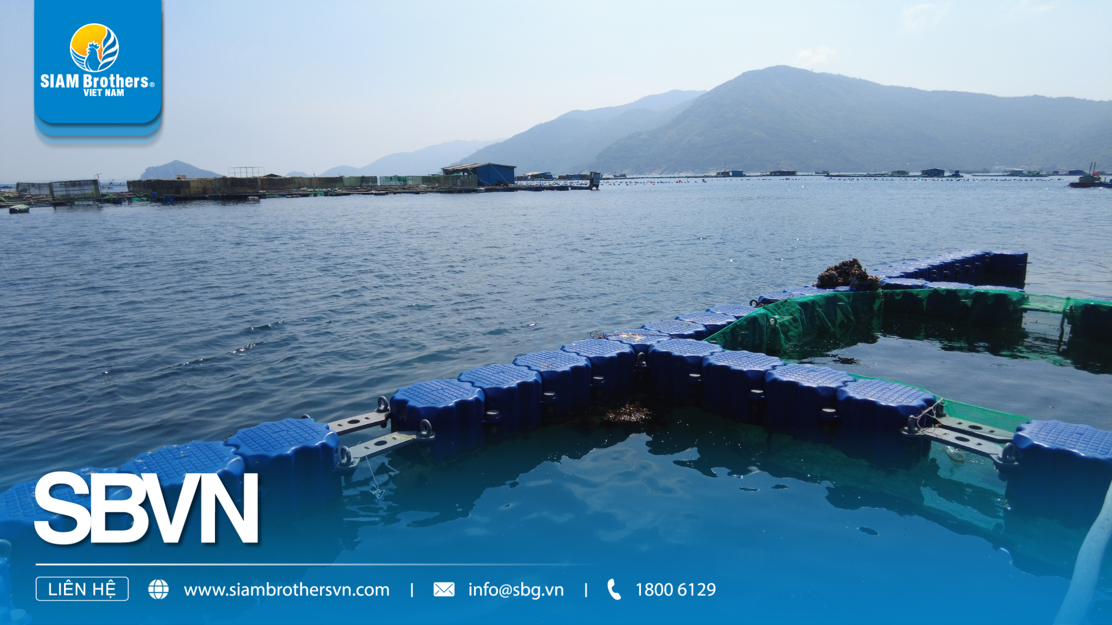 Phao nổi trên biển: Hướng dẫn chọn loại phù hợp cho tàu cá, lồng bè và neo