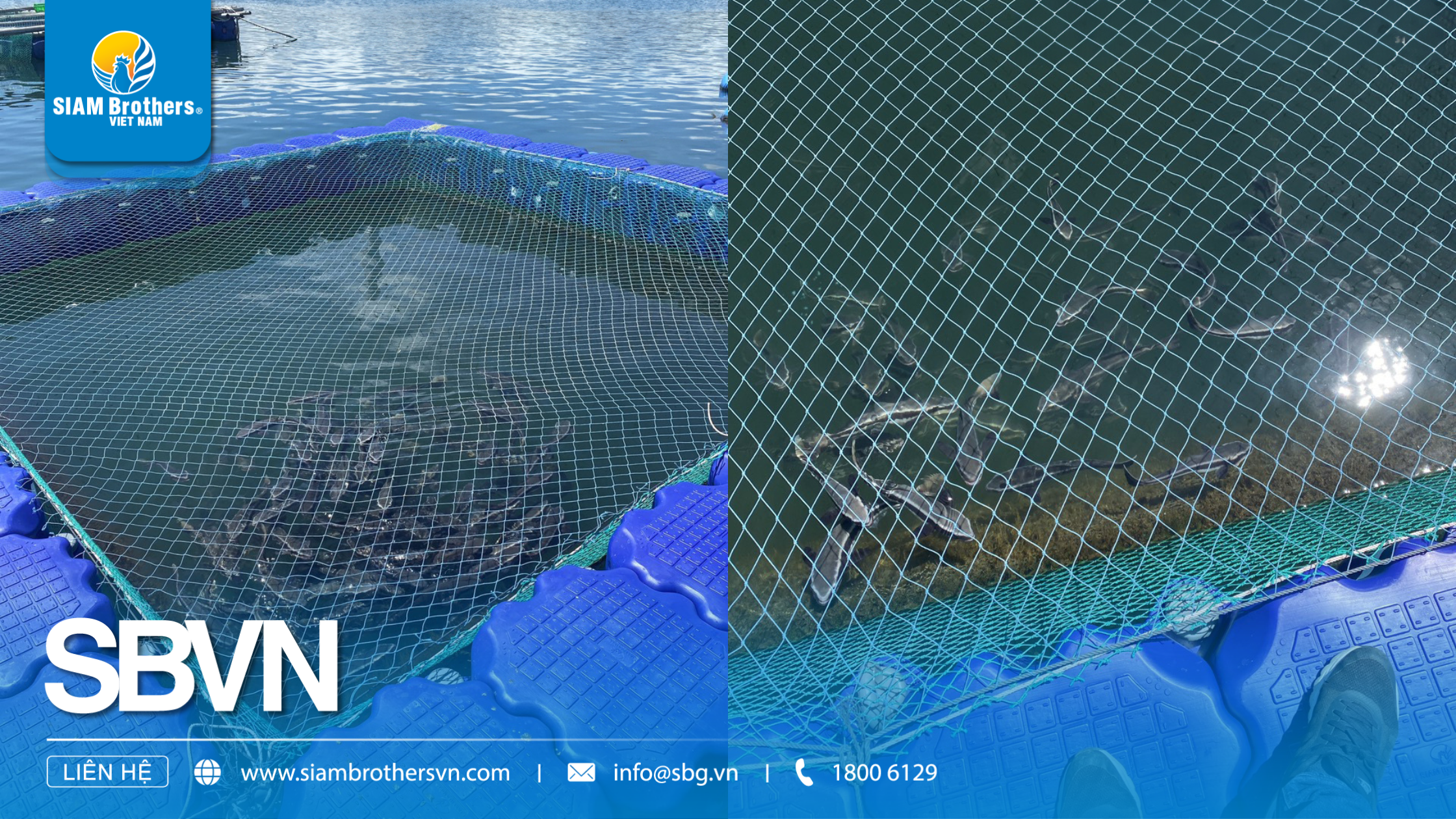 Cách chọn phao nuôi cá phù hợp cho từng mô hình: ao đất, hồ thủy điện, biển, sông