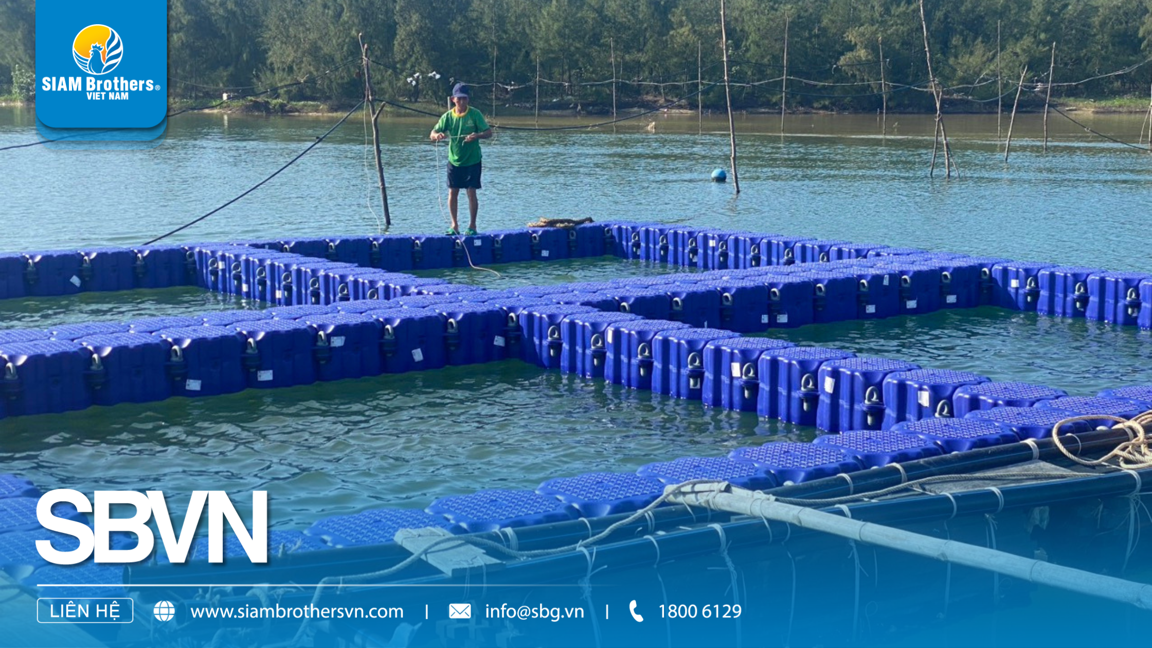 Cách chọn phao nuôi cá phù hợp cho từng mô hình: ao đất, hồ thủy điện, biển, sông