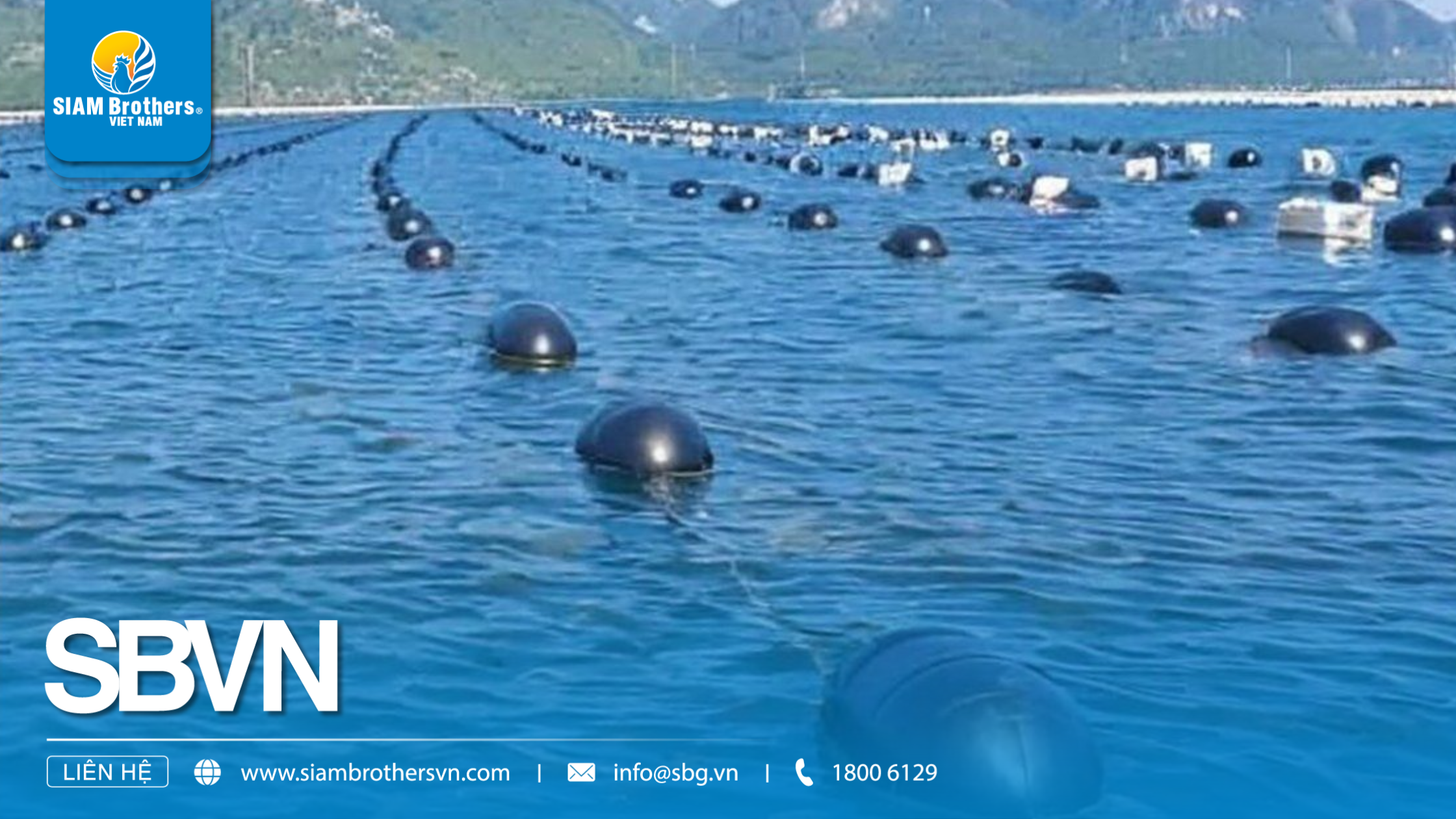 Phao nuôi hàu HDPE - Cấu tạo, công dụng và ưu điểm vượt trội cho mô hình nuôi trồng thủy sản