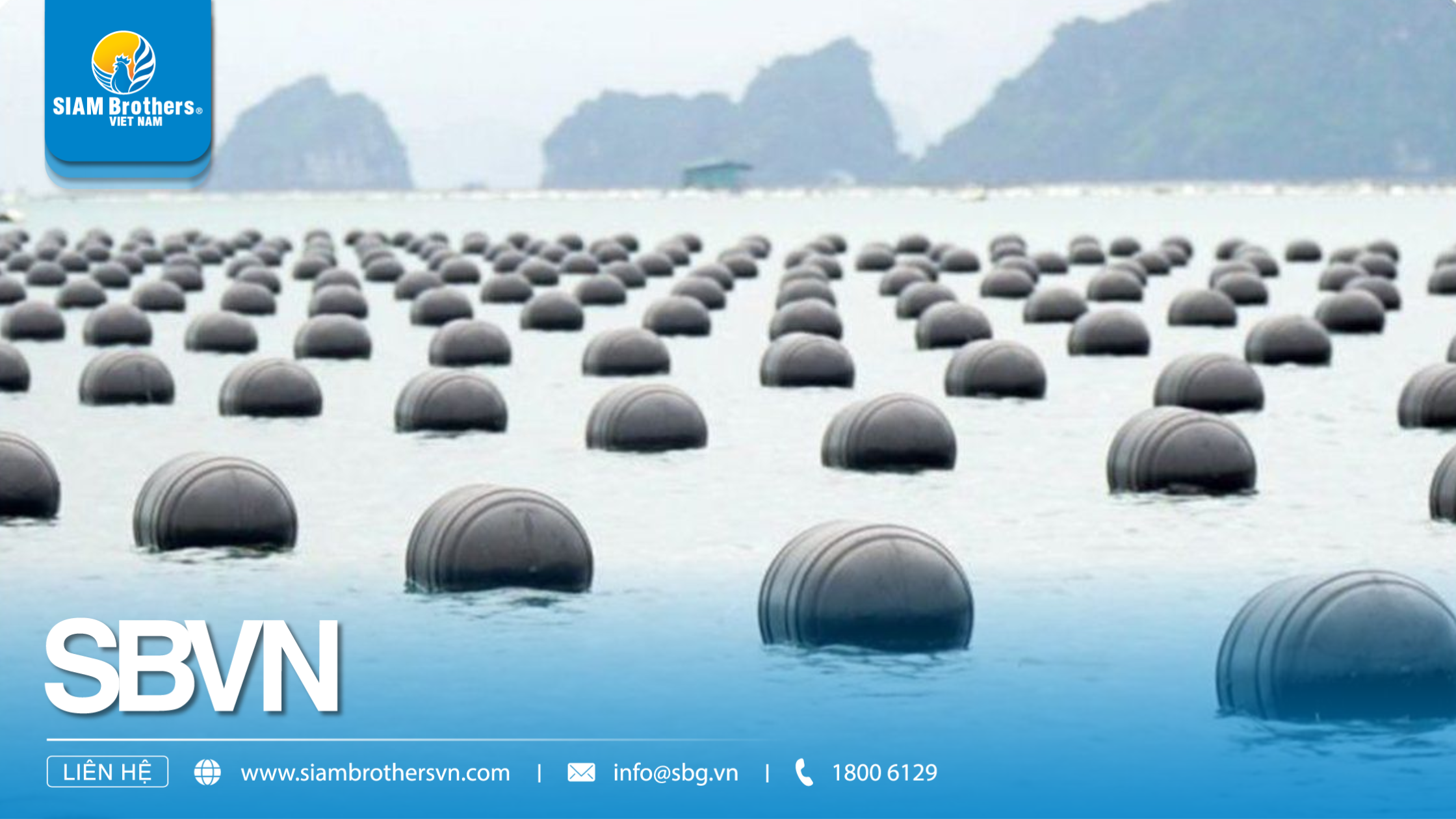 Phao nuôi hàu HDPE - Cấu tạo, công dụng và ưu điểm vượt trội cho mô hình nuôi trồng thủy sản