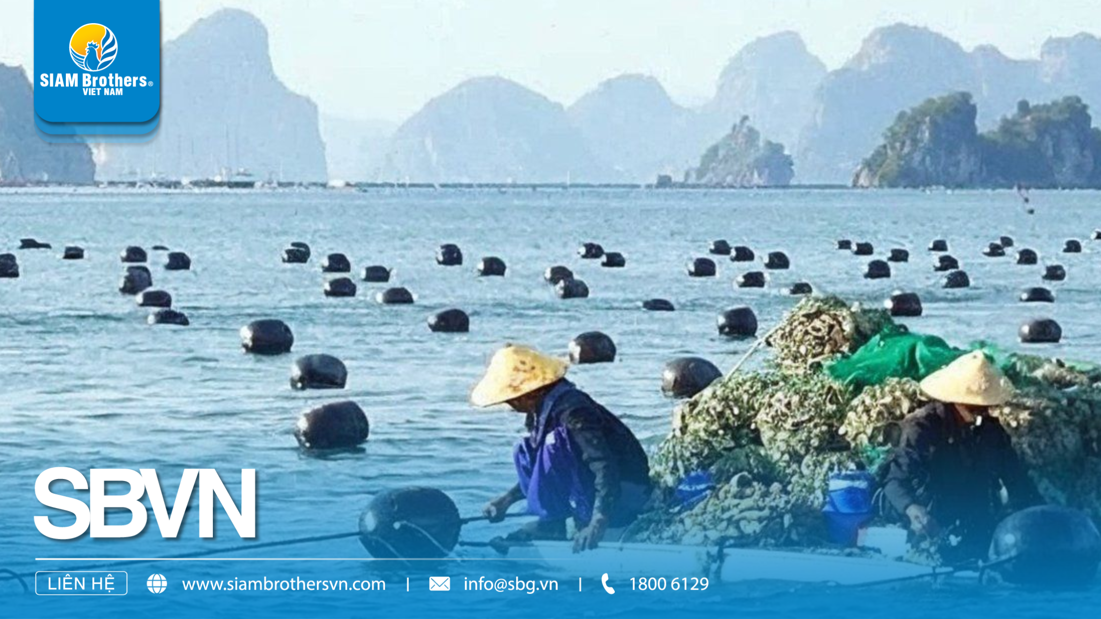 Phao nuôi hàu HDPE - Cấu tạo, công dụng và ưu điểm vượt trội cho mô hình nuôi trồng thủy sản