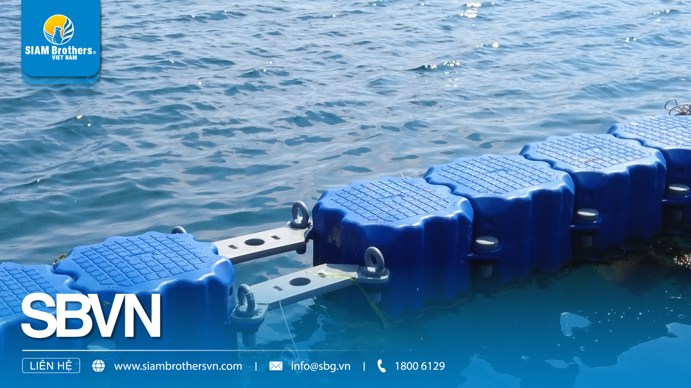 Phao nuôi hàu HDPE - Cấu tạo, công dụng và ưu điểm vượt trội cho mô hình nuôi trồng thủy sản