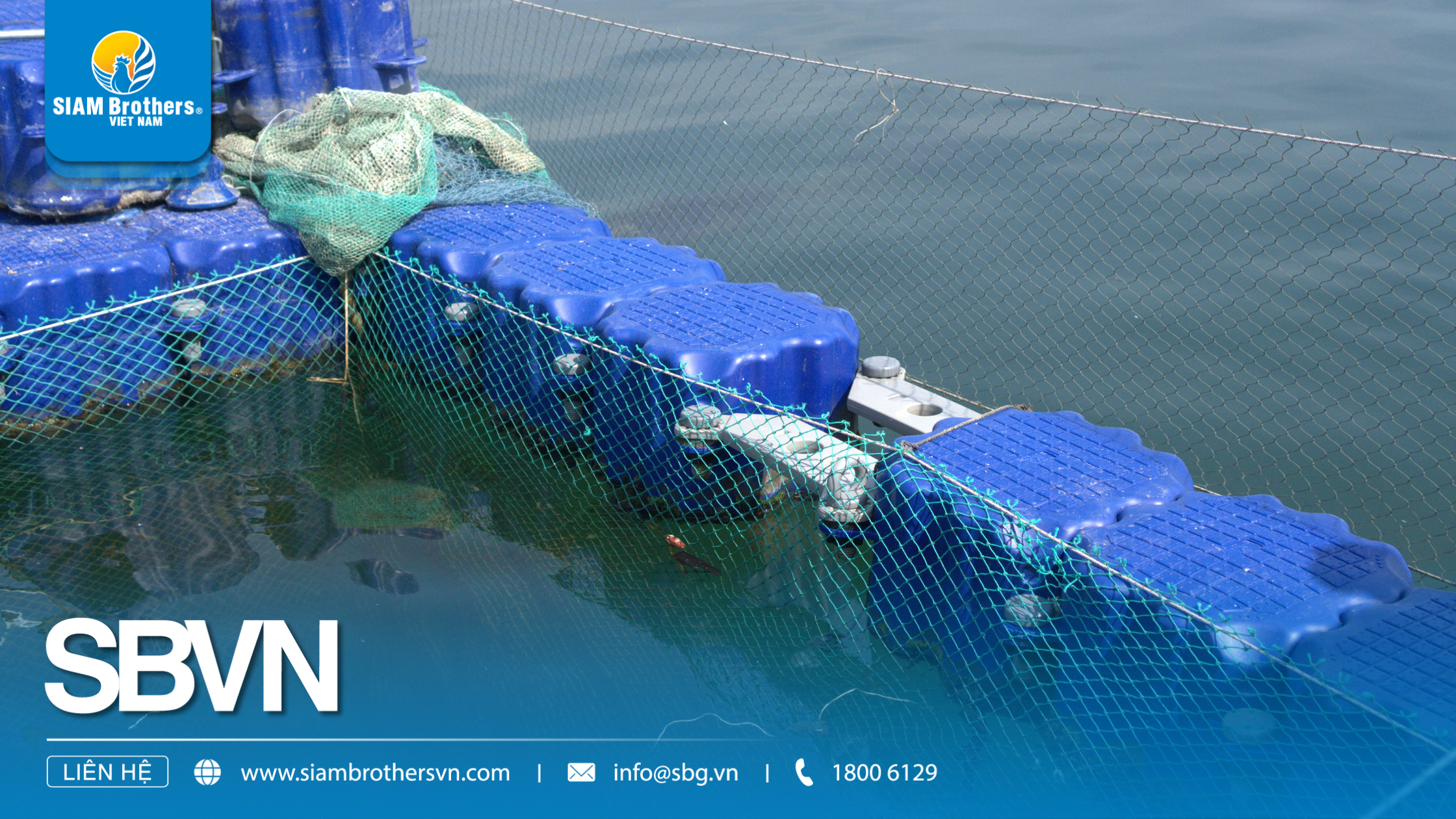 Phao nuôi hàu HDPE - Cấu tạo, công dụng và ưu điểm vượt trội cho mô hình nuôi trồng thủy sản
