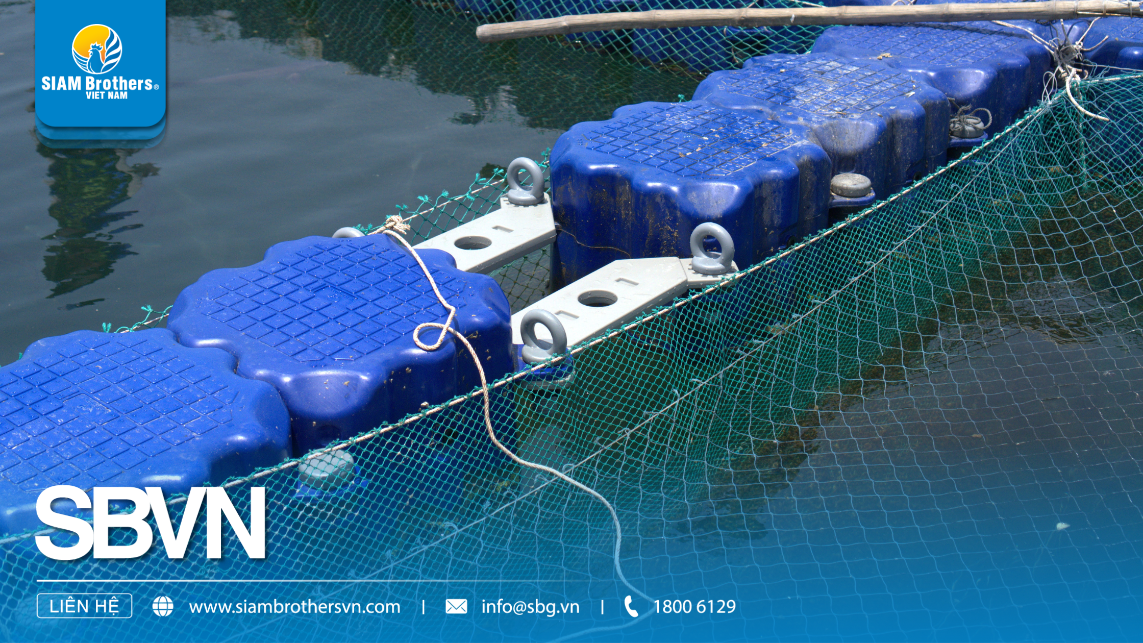 Phao nuôi hàu HDPE - Cấu tạo, công dụng và ưu điểm vượt trội cho mô hình nuôi trồng thủy sản