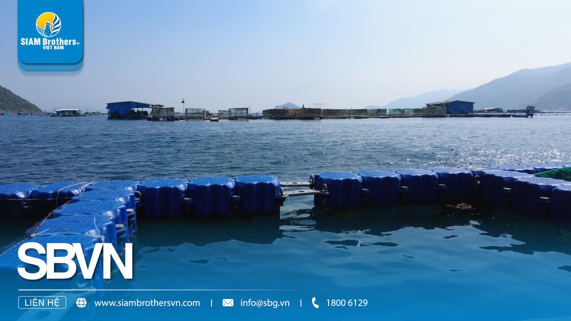 Phao nuôi hàu HDPE - Cấu tạo, công dụng và ưu điểm vượt trội cho mô hình nuôi trồng thủy sản