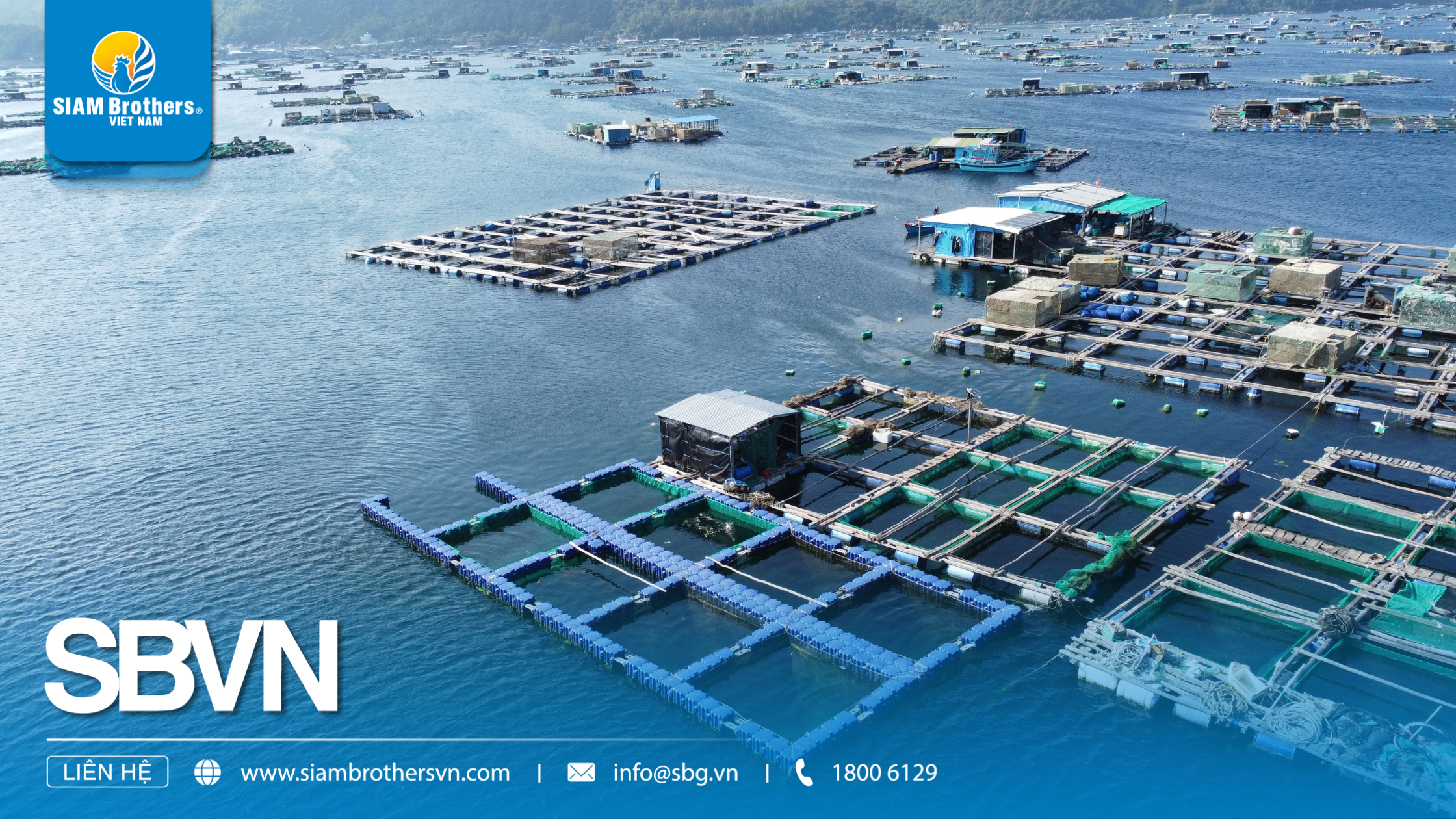 Phao nuôi hàu HDPE - Cấu tạo, công dụng và ưu điểm vượt trội cho mô hình nuôi trồng thủy sản