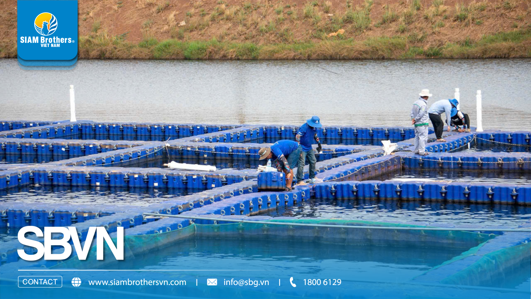 Cách lựa chọn phao nuôi tôm phù hợp từng mô hình ao nuôi