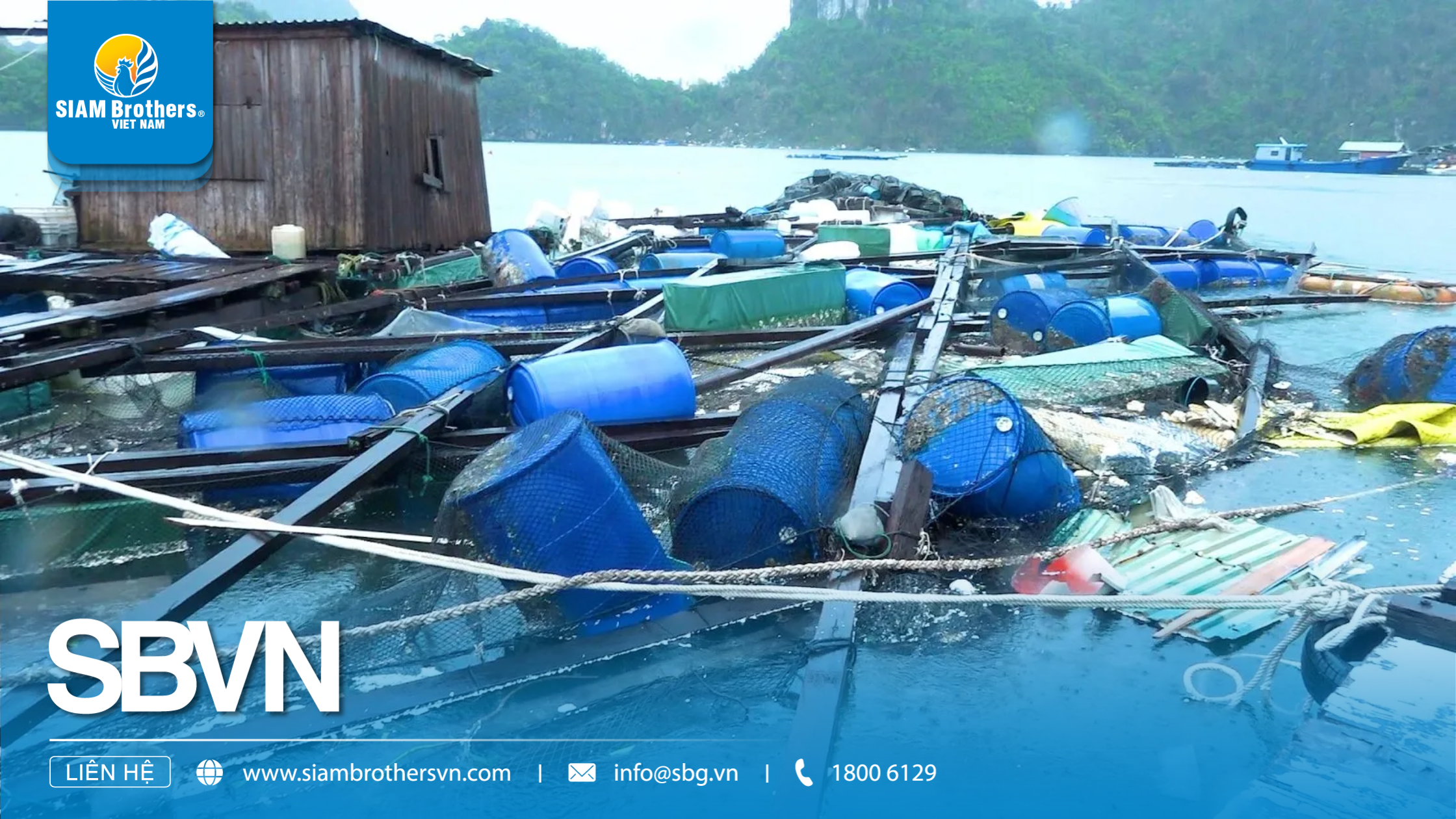Phục Hồi Nuôi Trồng Thủy Sản Sau Bão Yagi: Quảng Ninh Dẫn Đầu Và Các Tỉnh Miền Bắc Khôi Phục Mạnh Mẽ