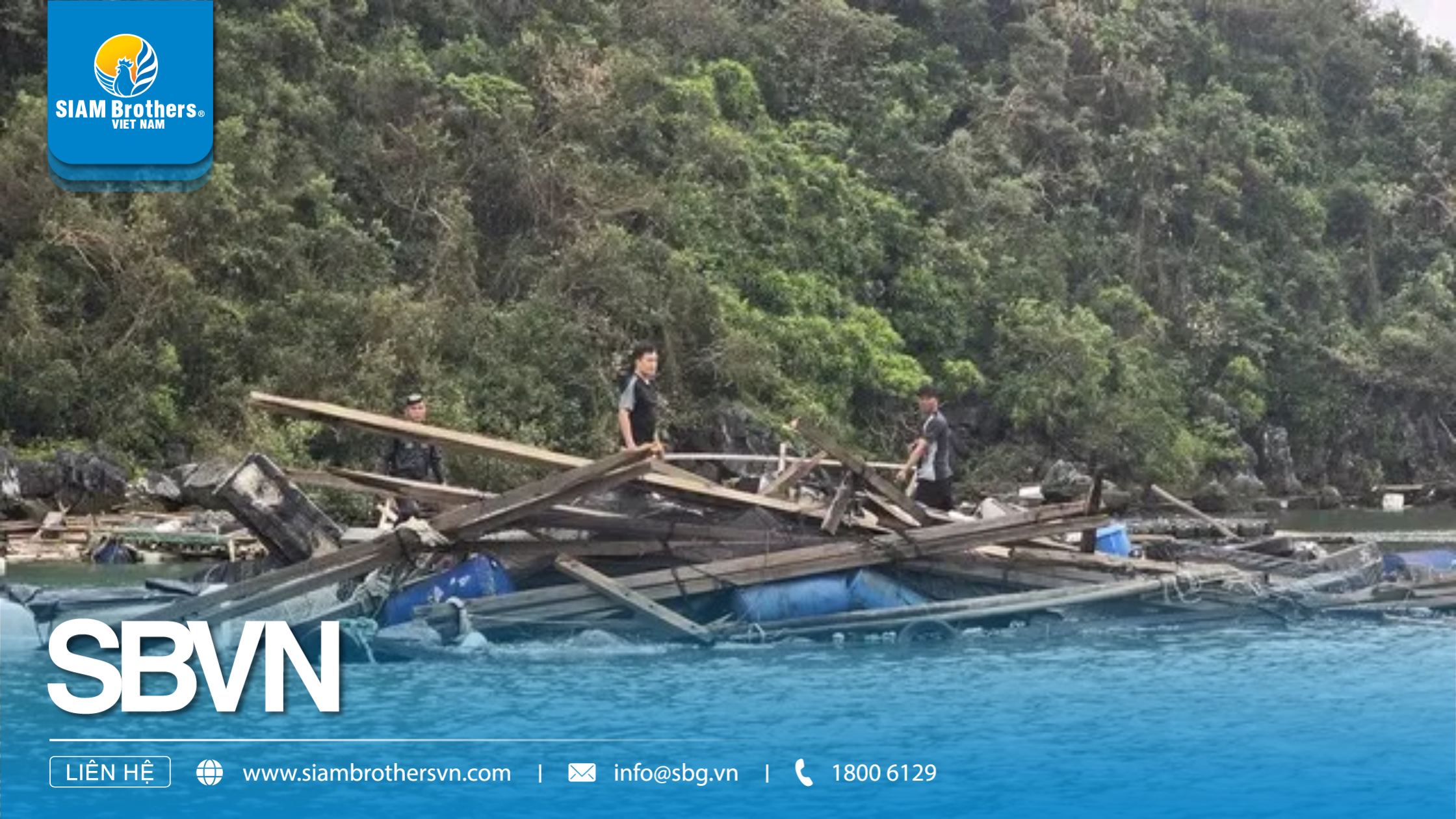 Phục Hồi Nuôi Trồng Thủy Sản Sau Bão Yagi: Quảng Ninh Dẫn Đầu Và Các Tỉnh Miền Bắc Khôi Phục Mạnh Mẽ