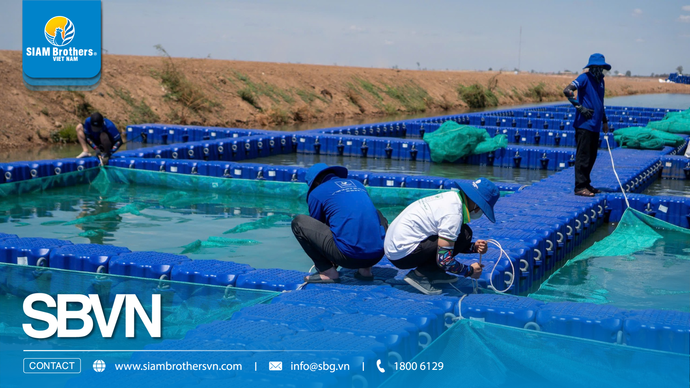 Quy trình nuôi cá chép thương phẩm kết hợp hệ thống phao HDPE và lưới