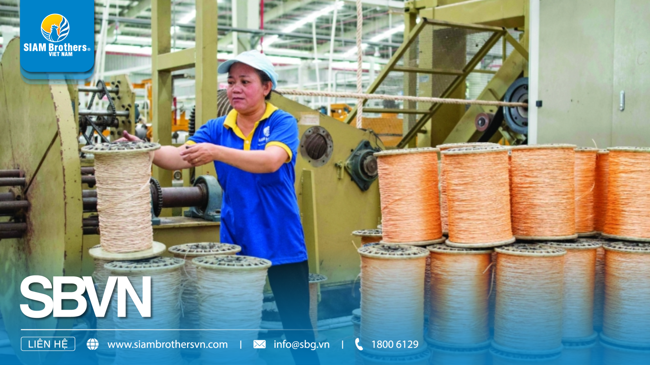 Top 3 công ty sản xuất dây thừng uy tín tại Việt Nam (Cập nhật 2025)