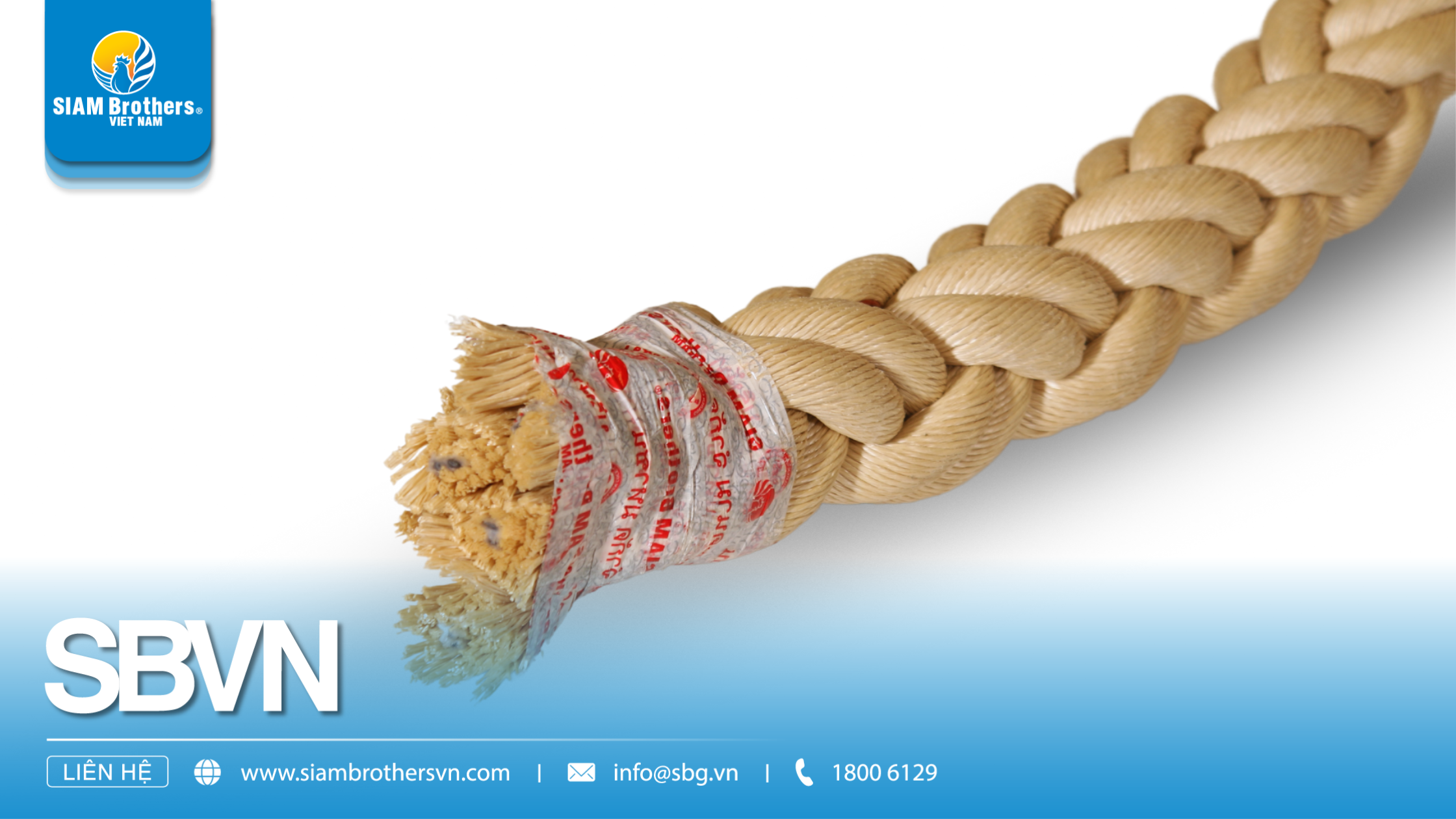 Phân biệt các loại sợi dây thừng: Sợi PP, PE, Nylon và Manila