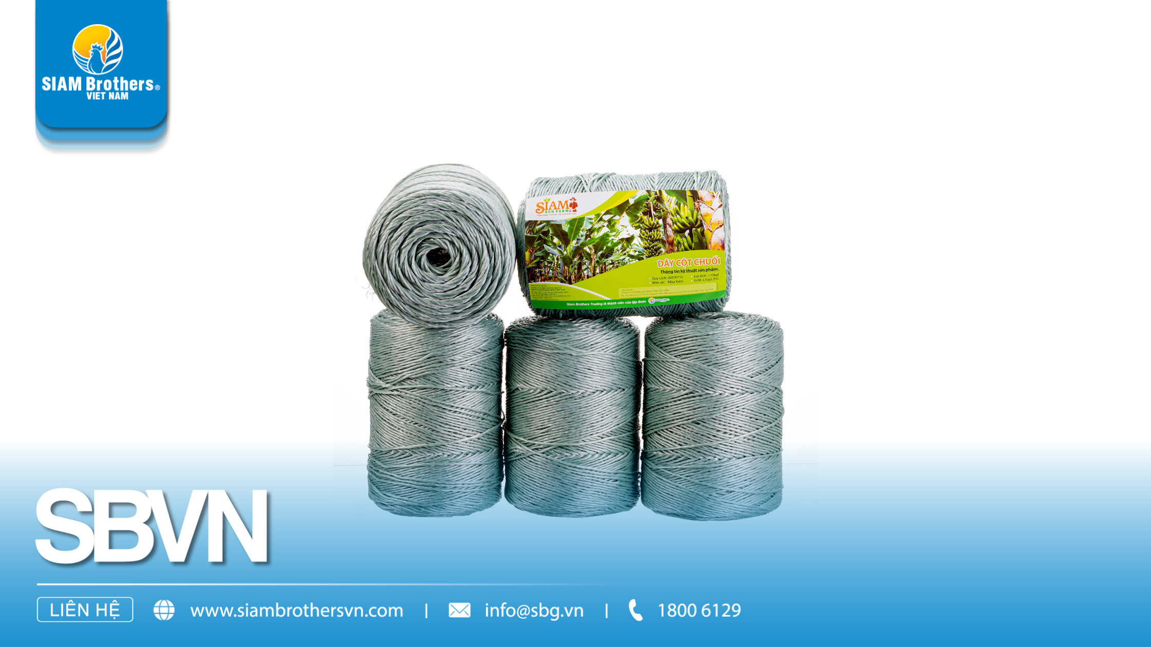 Phân biệt các loại sợi dây thừng: Sợi PP, PE, Nylon và Manila